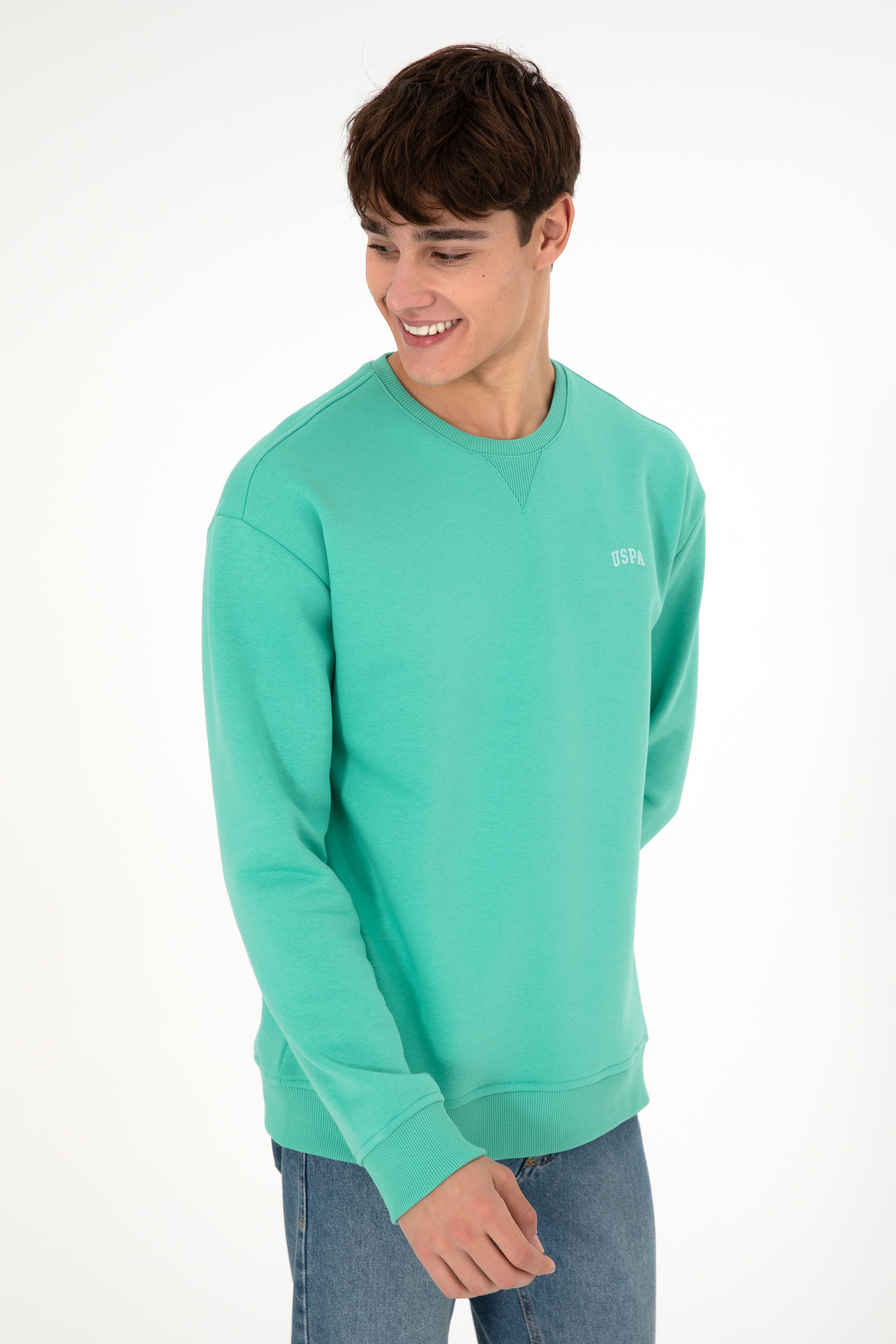 Erkek Bisiklet Yaka Mint Basic Şardonlu Sweatshirt - Image 1