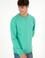 Erkek Bisiklet Yaka Mint Basic Şardonlu Sweatshirt