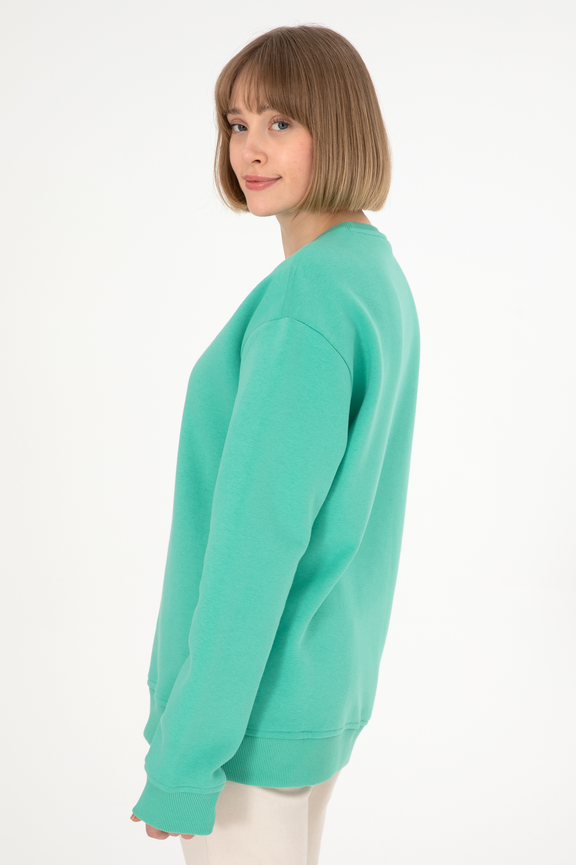Erkek Bisiklet Yaka Mint Basic Şardonlu Sweatshirt - Image 5