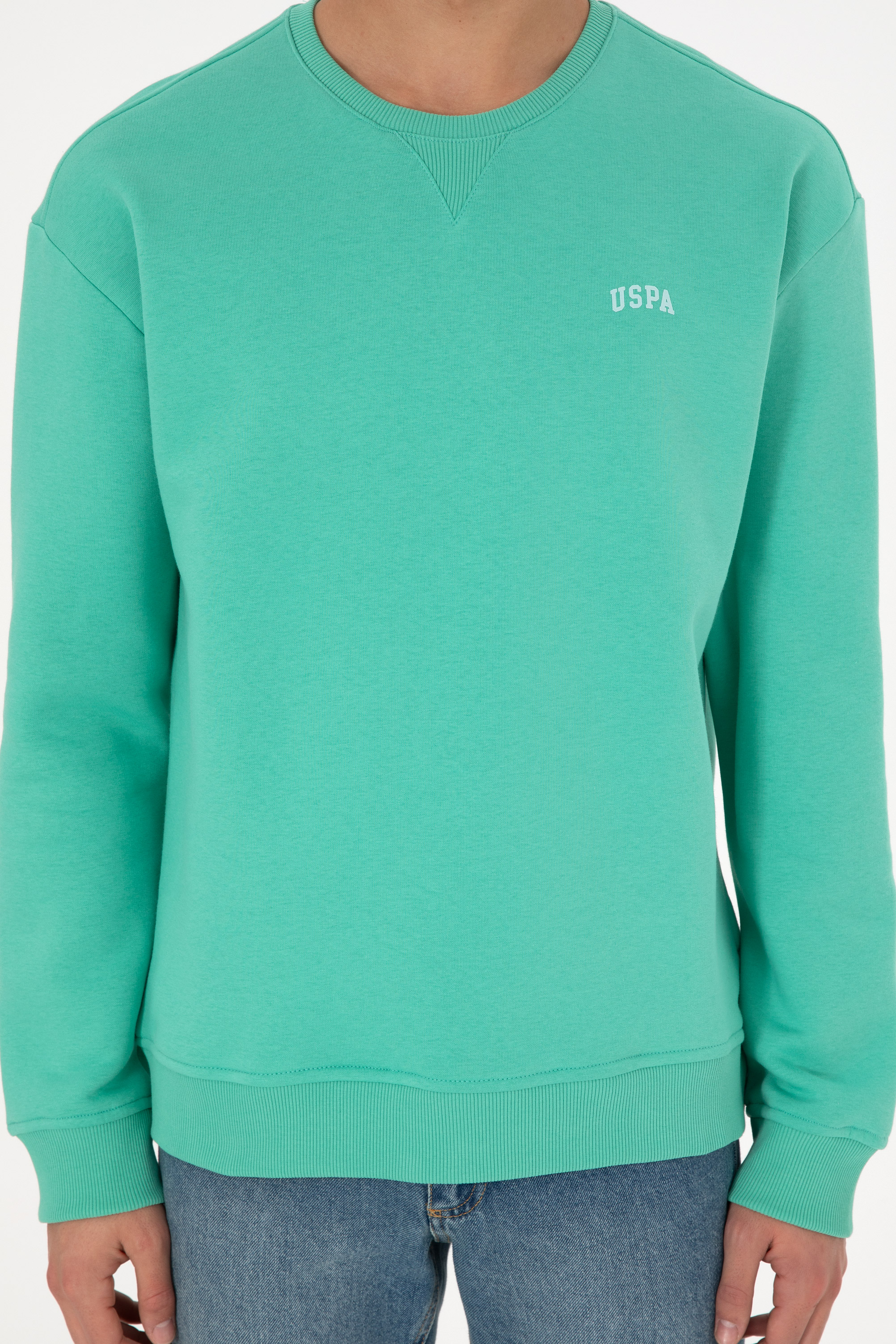 Erkek Bisiklet Yaka Mint Basic Şardonlu Sweatshirt - Image 7