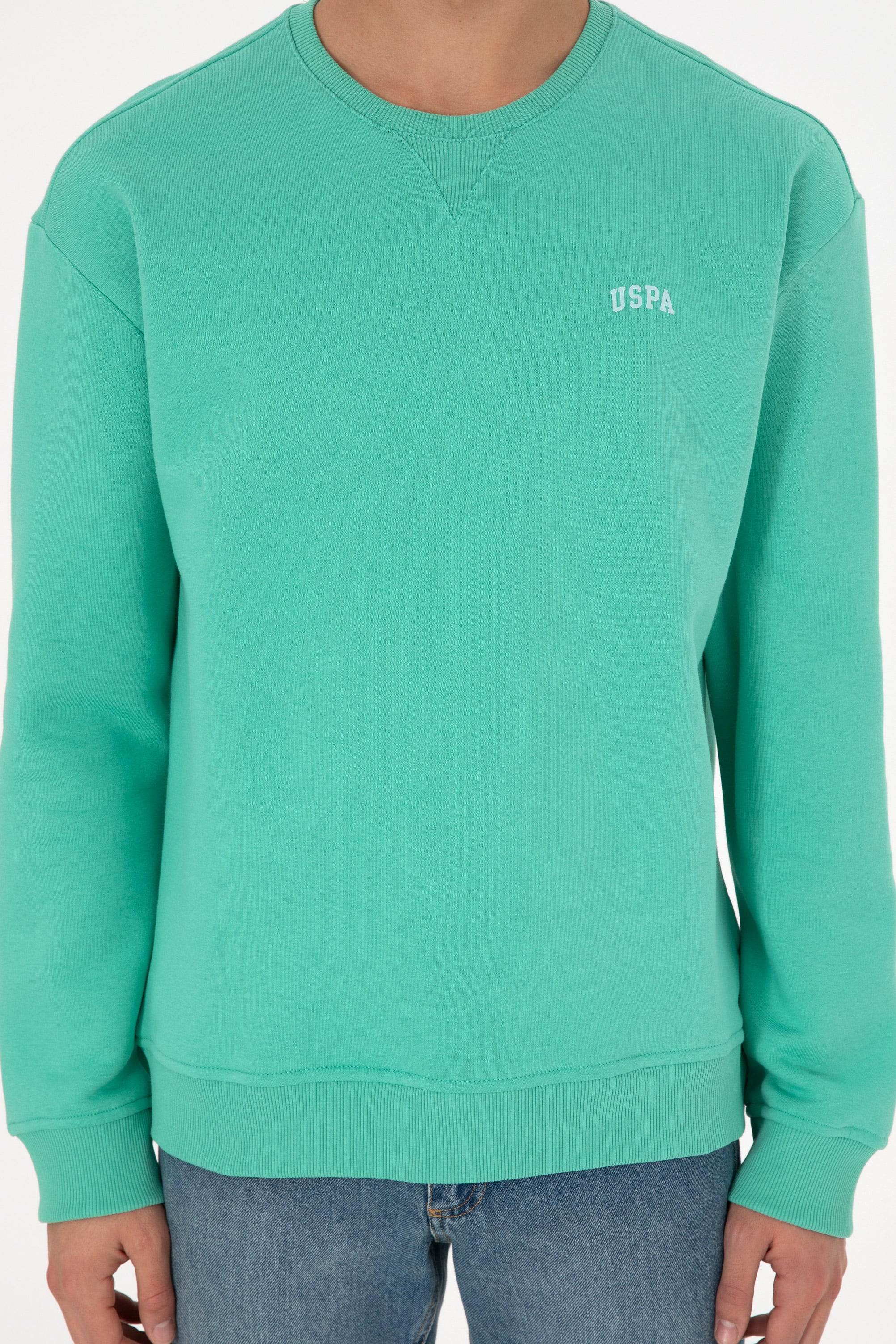Erkek Bisiklet Yaka Mint Basic Şardonlu Sweatshirt