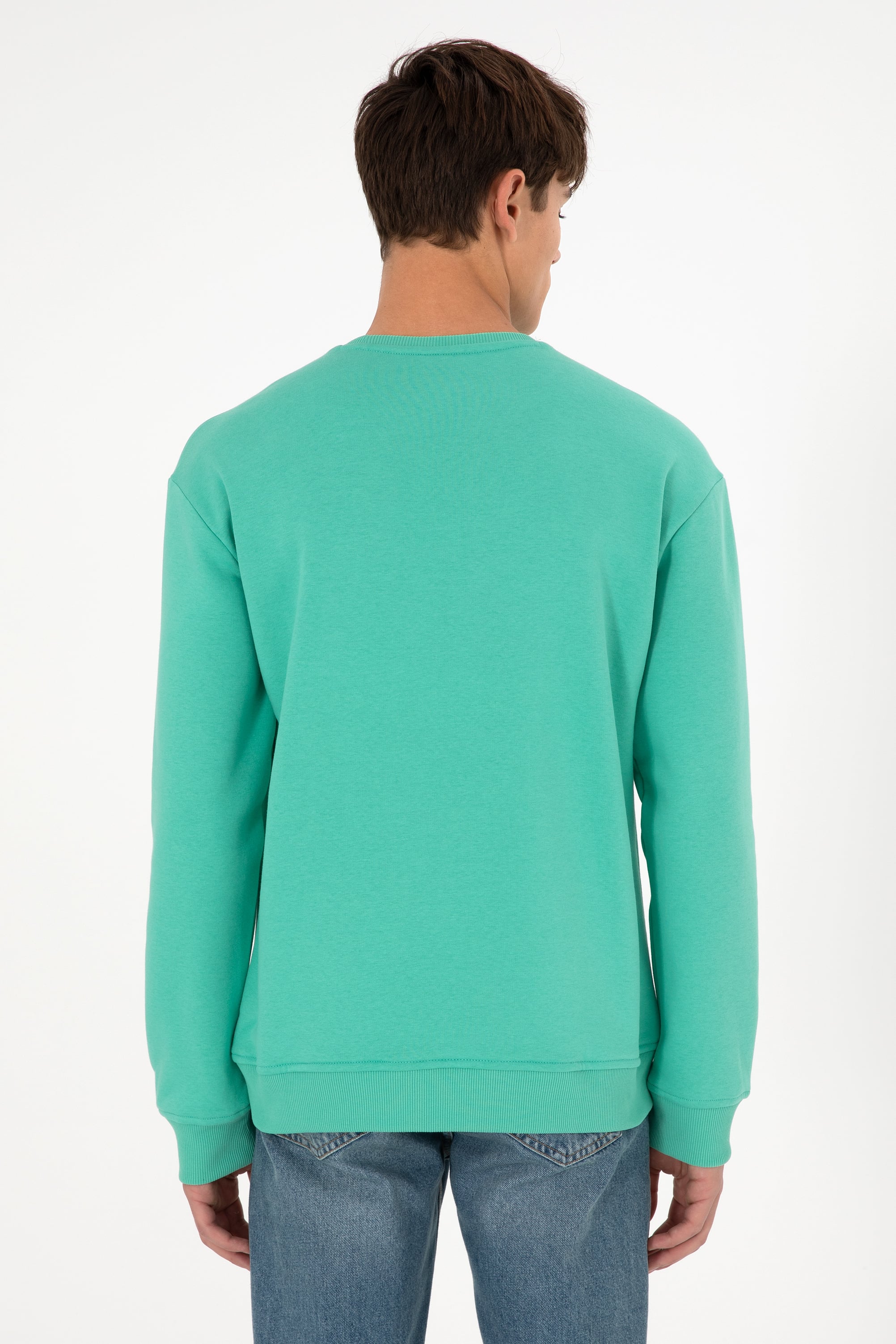 Erkek Bisiklet Yaka Mint Basic Şardonlu Sweatshirt