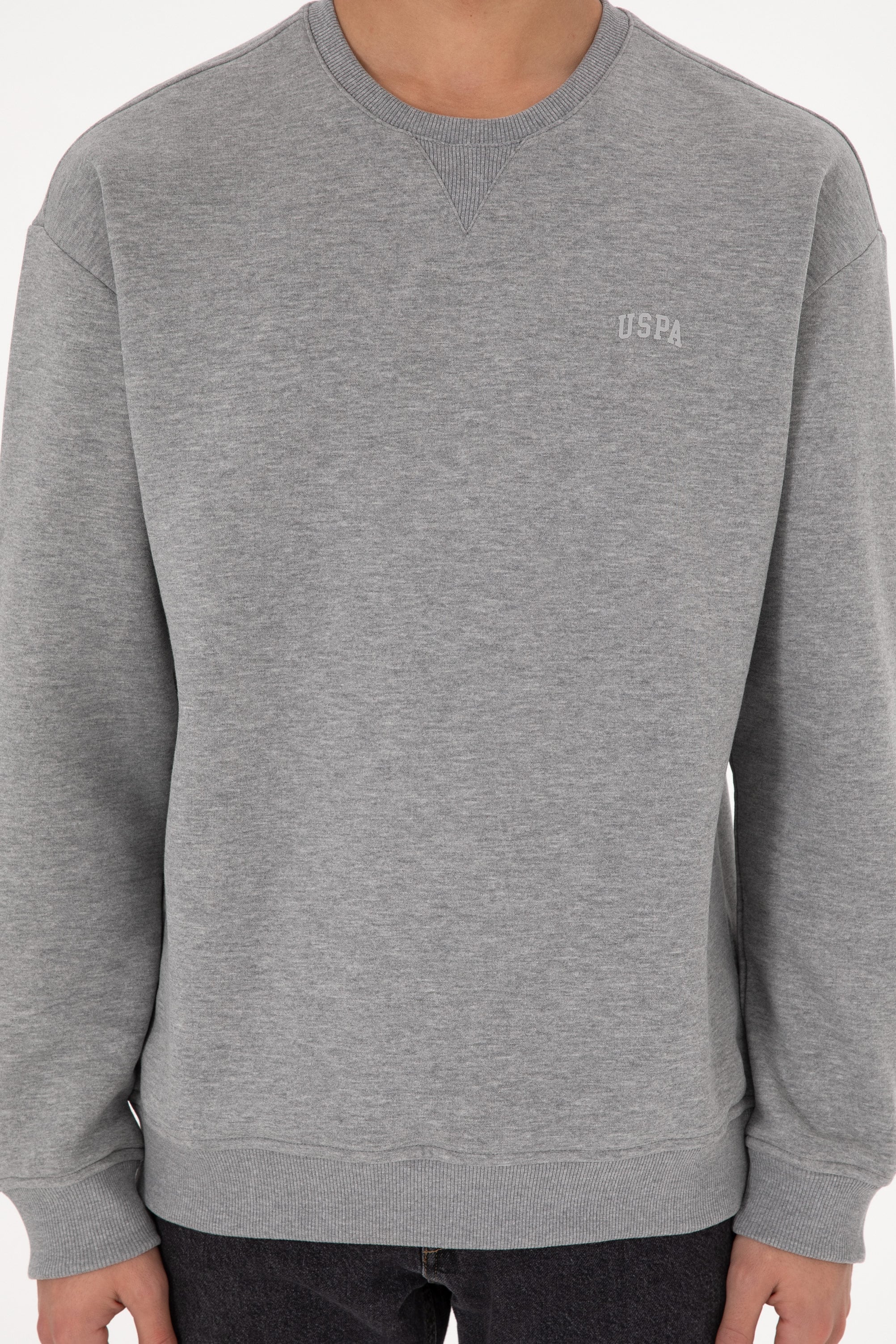 Erkek Bisiklet Yaka Gri Melanj Basic Şardonlu Sweatshirt - Image 7