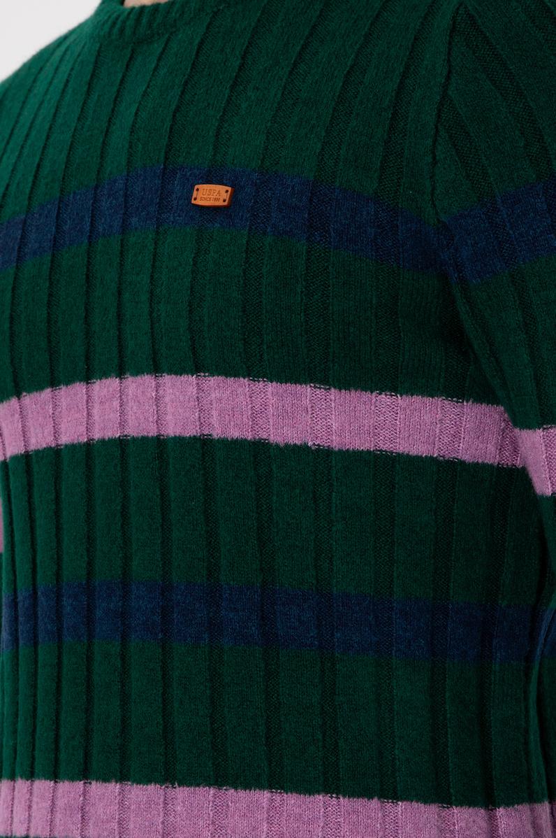 Erkek Regular Fit Bisiklet Yaka Koyu Yeşil Kazak