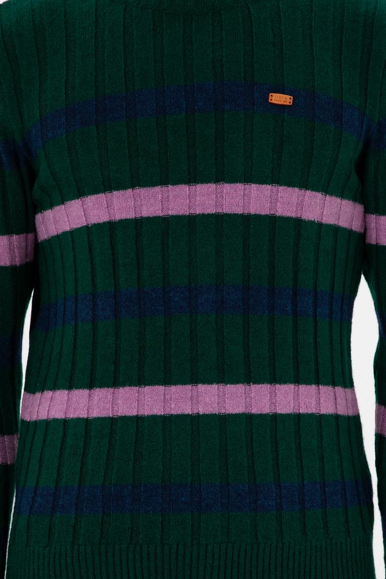 Erkek Regular Fit Bisiklet Yaka Koyu Yeşil Kazak - 50293109016