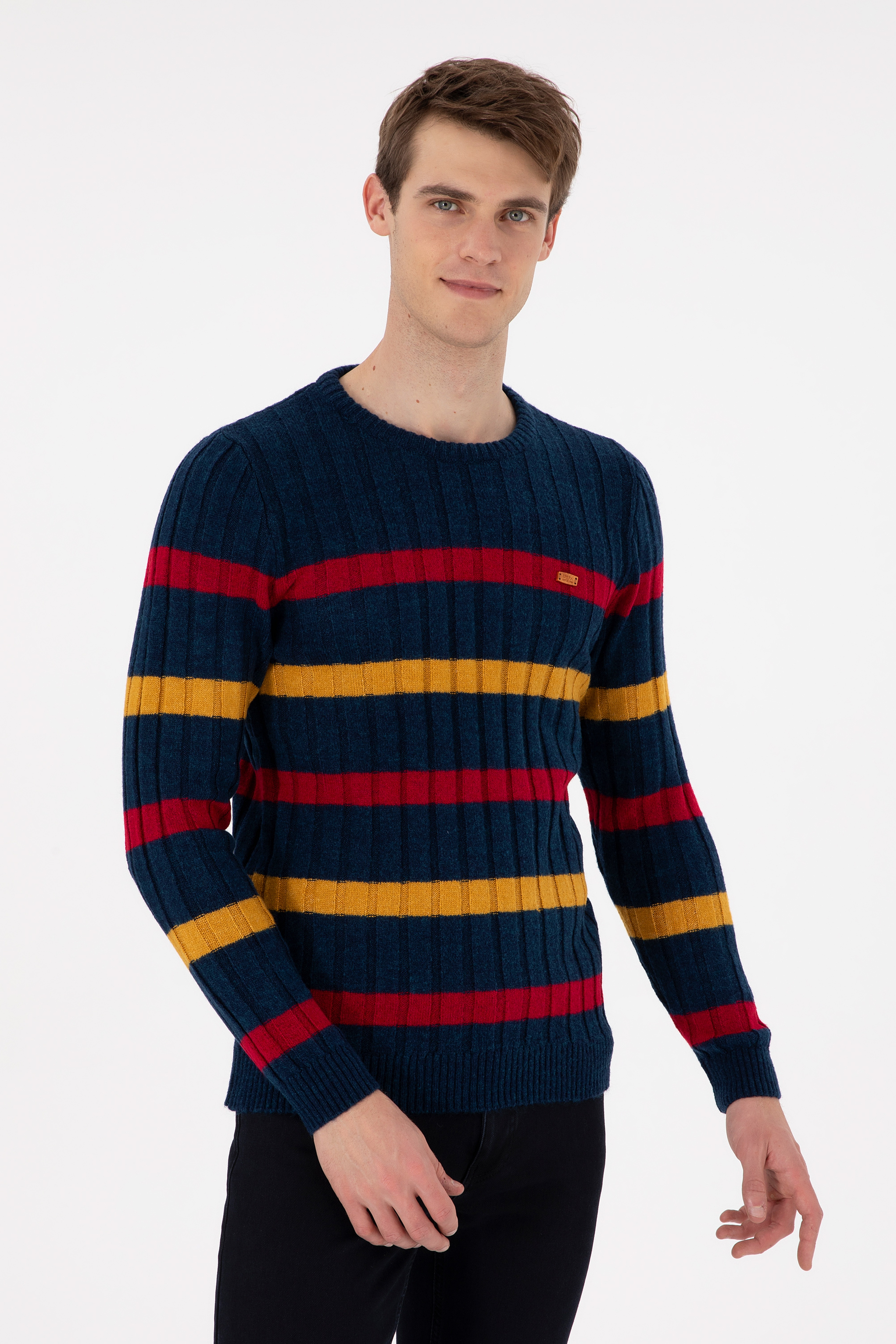 Erkek Regular Fit Bisiklet Yaka Lacivert Kazak - Image 1