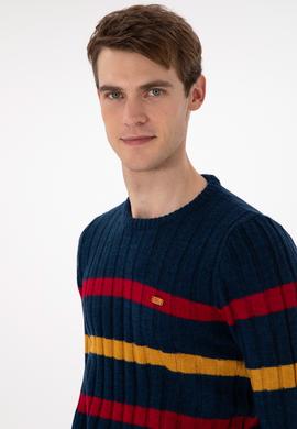 Erkek Regular Fit Bisiklet Yaka Lacivert Kazak - 50293109035