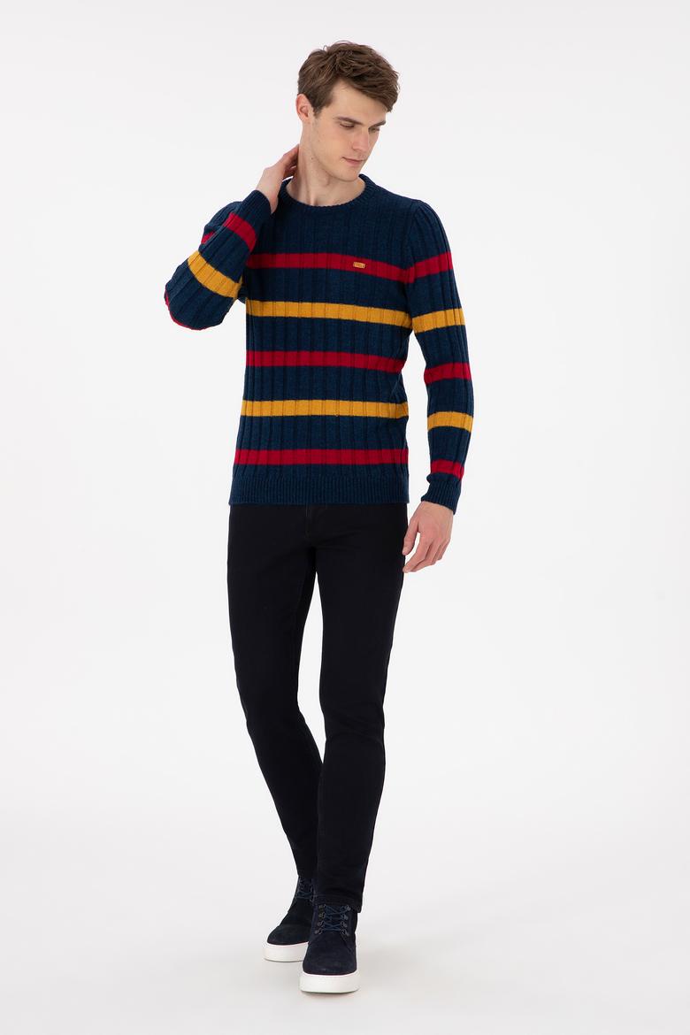 Erkek Regular Fit Bisiklet Yaka Lacivert Kazak - 50293109035