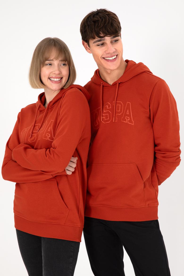 Erkek Regular Fit Kapüşonlu Kiremit Basic Sweatshirt