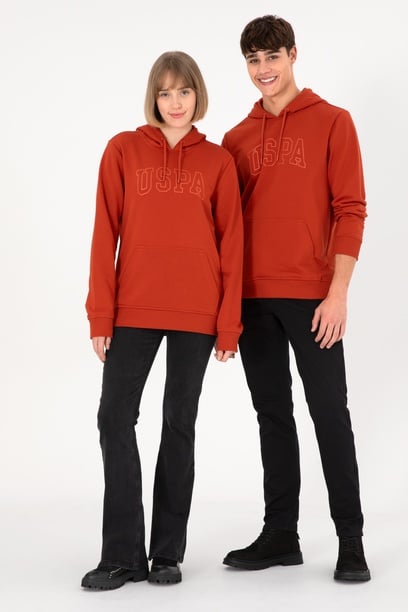 Erkek Regular Fit Kapüşonlu Kiremit Basic Sweatshirt