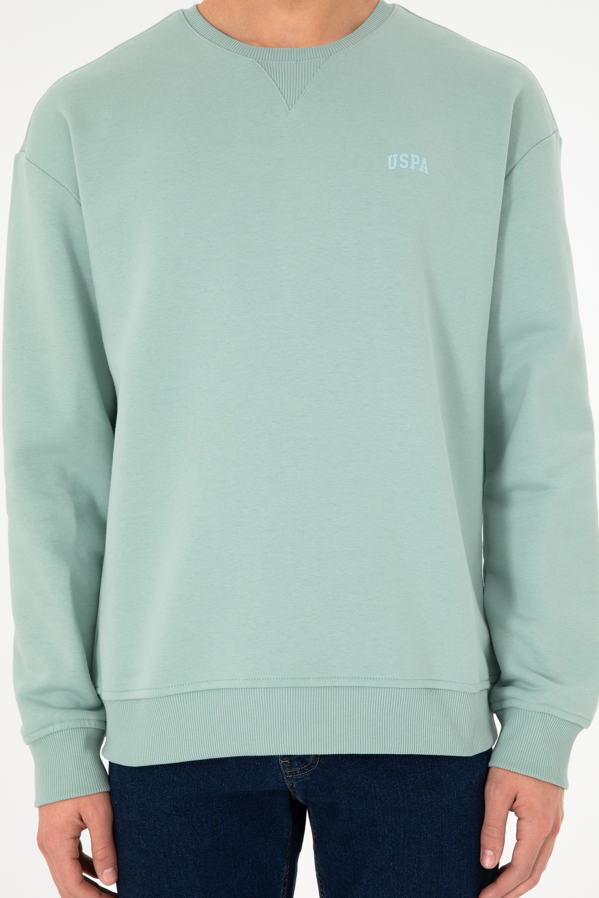 Erkek Bisiklet Yaka Su Yeşili Basic Şardonlu Sweatshirt - Image 7