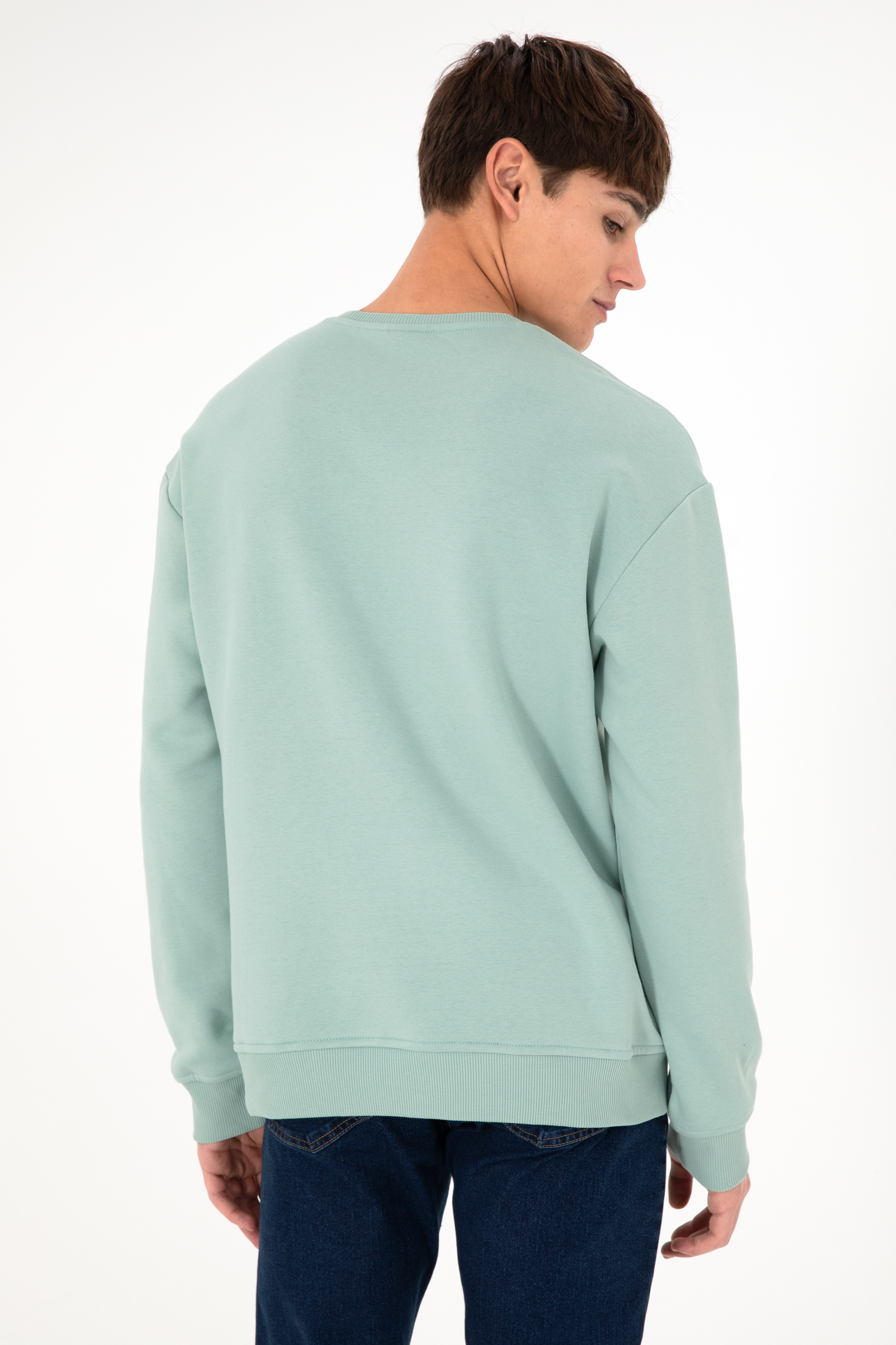 Erkek Bisiklet Yaka Su Yeşili Basic Şardonlu Sweatshirt - Image 6