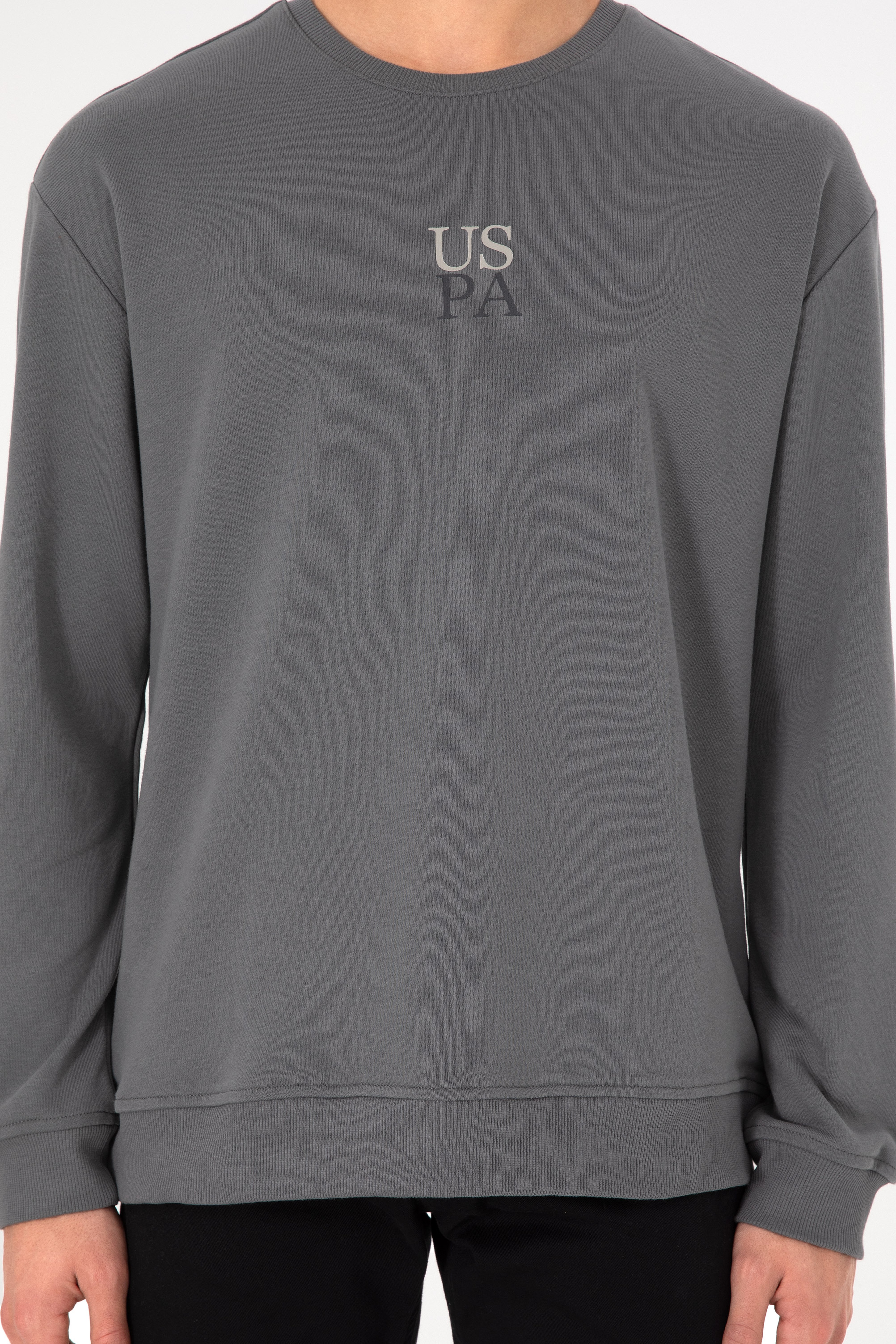 Erkek Comfort Fit Bisiklet Yaka Gri Basic Sweatshirt - Image 7