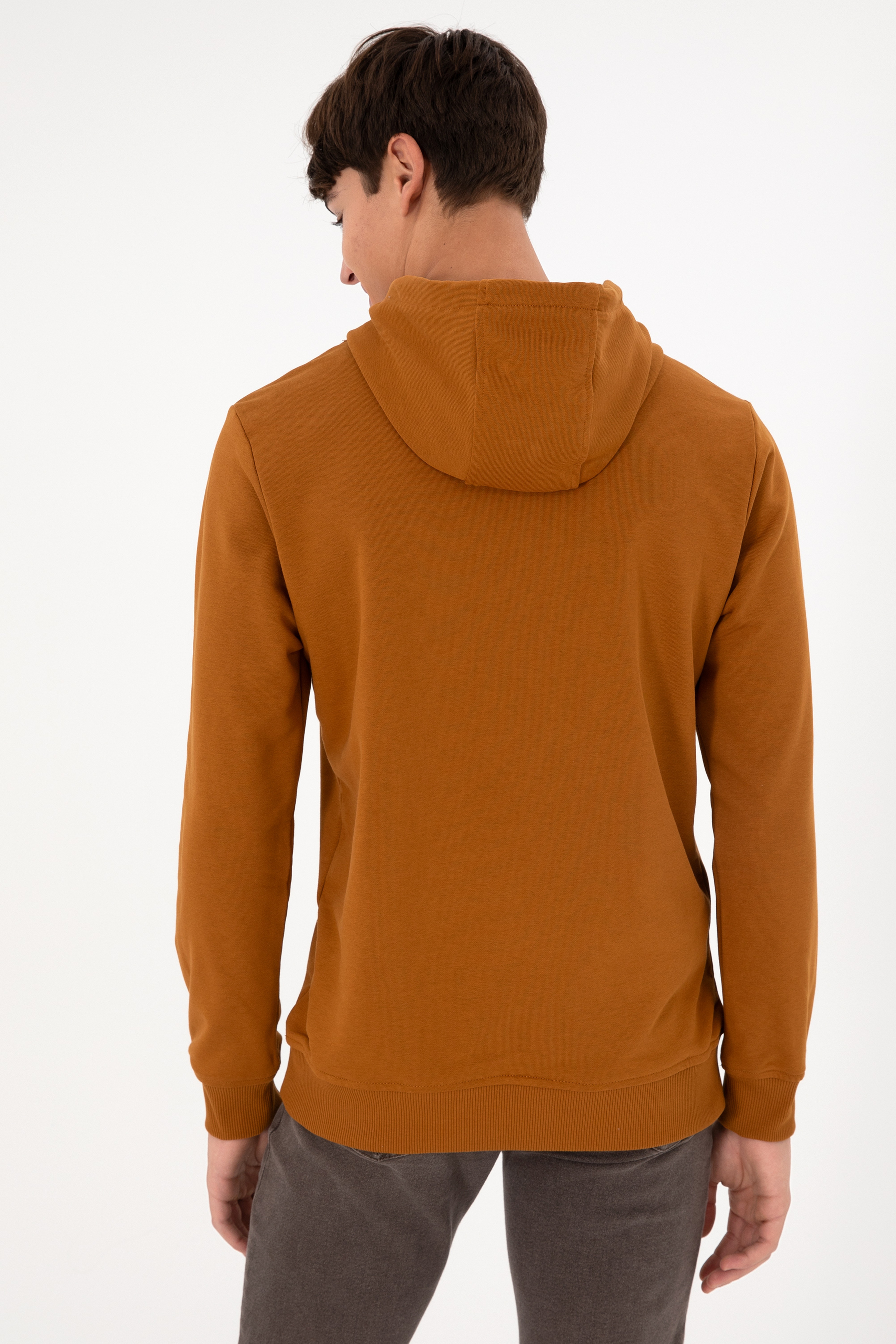 Erkek Regular Fit Kapüşonlu Coconut Basic Sweatshirt - Image 6