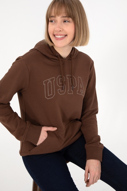 Erkek Regular Fit Kapüşonlu Kahverengi Basic Sweatshirt
