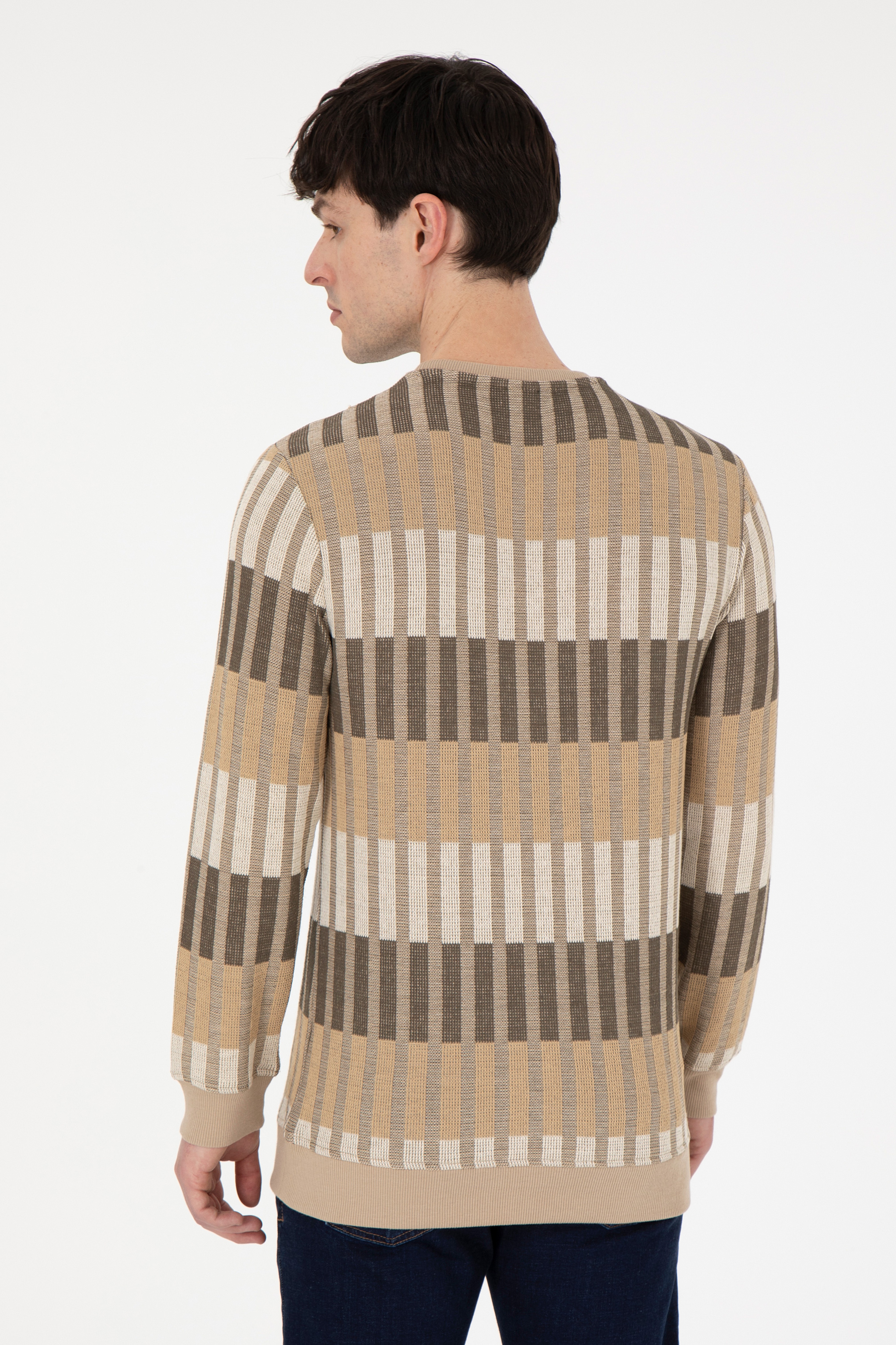 Erkek Regular Fit Bisiklet Yaka Taş Sweatshirt - Image 5
