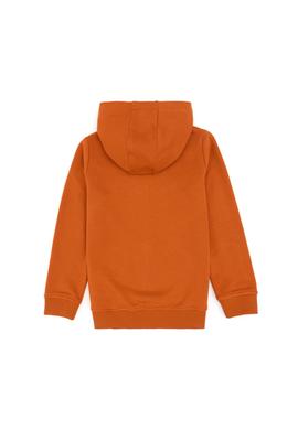 Erkek Çocuk Fermuarlı Kapüşonlu Basic Tarçın Sweatshirt - 50293472032