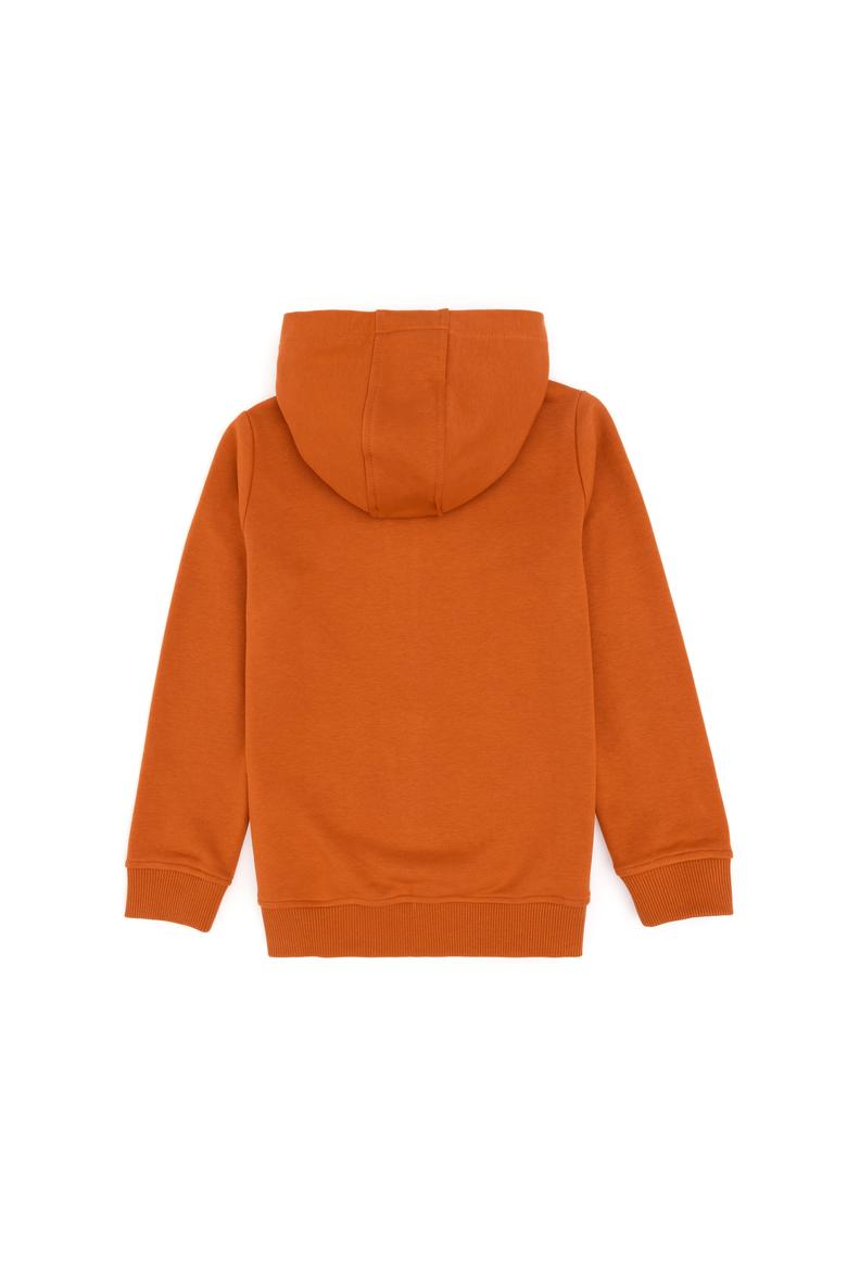 Erkek Çocuk Fermuarlı Kapüşonlu Basic Tarçın Sweatshirt - 50293472032