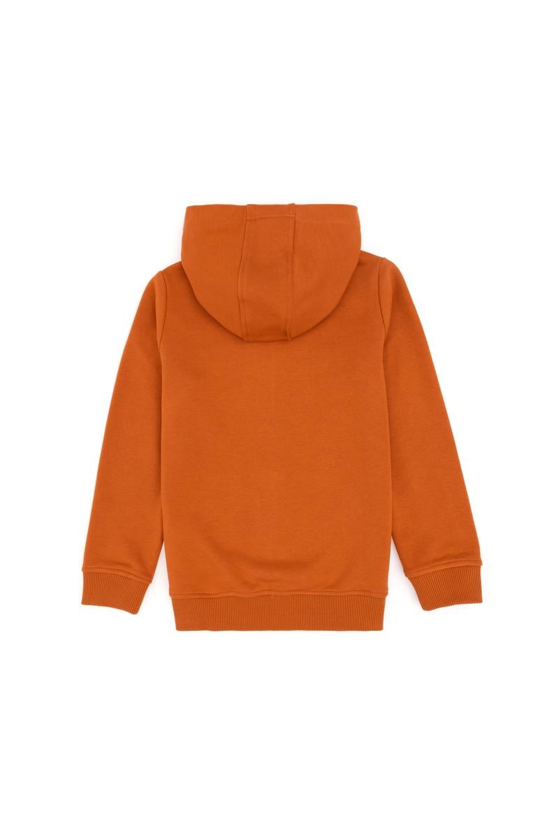 Erkek Çocuk Fermuarlı Kapüşonlu Basic Tarçın Sweatshirt