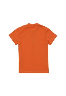 Erkek Çocuk Tarçın Basic Tişört - 50295504050