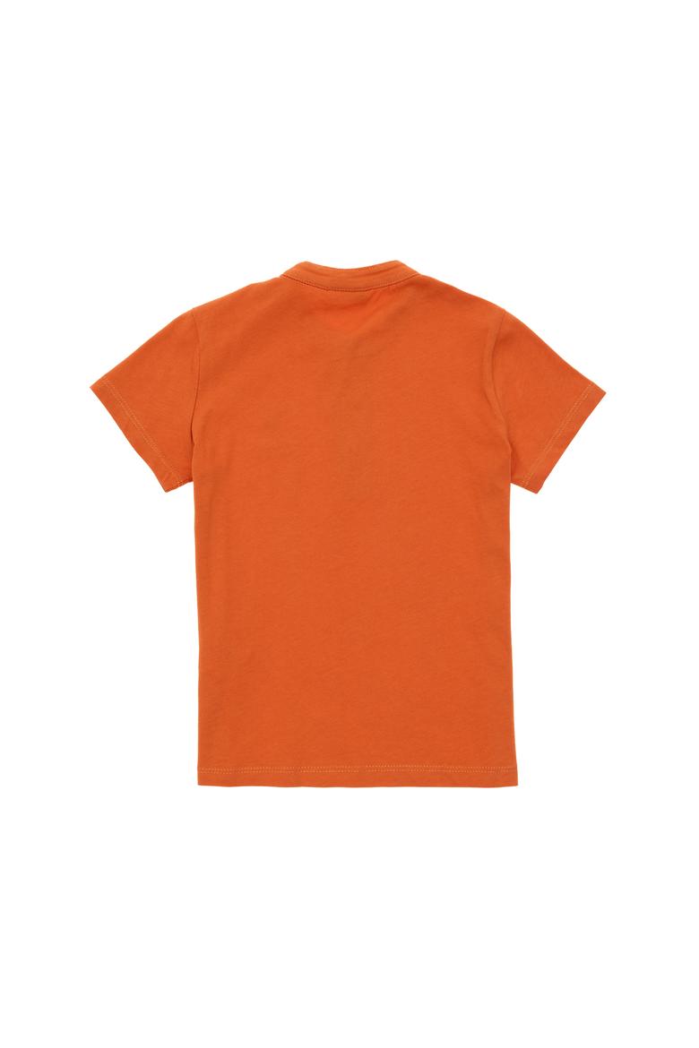 Erkek Çocuk Tarçın Basic Tişört - 50295504050