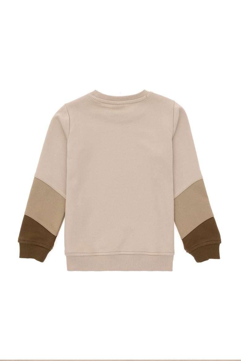 Erkek Çocuk Taş Bisiklet Yaka Sweatshirt - 50293604019