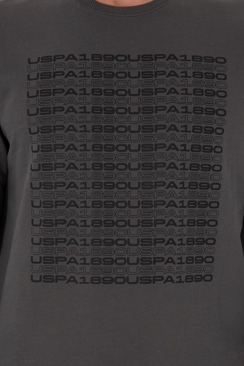 Erkek Regular Fit Bisiklet Yaka Antrasit Sweatshirt - 50293461019