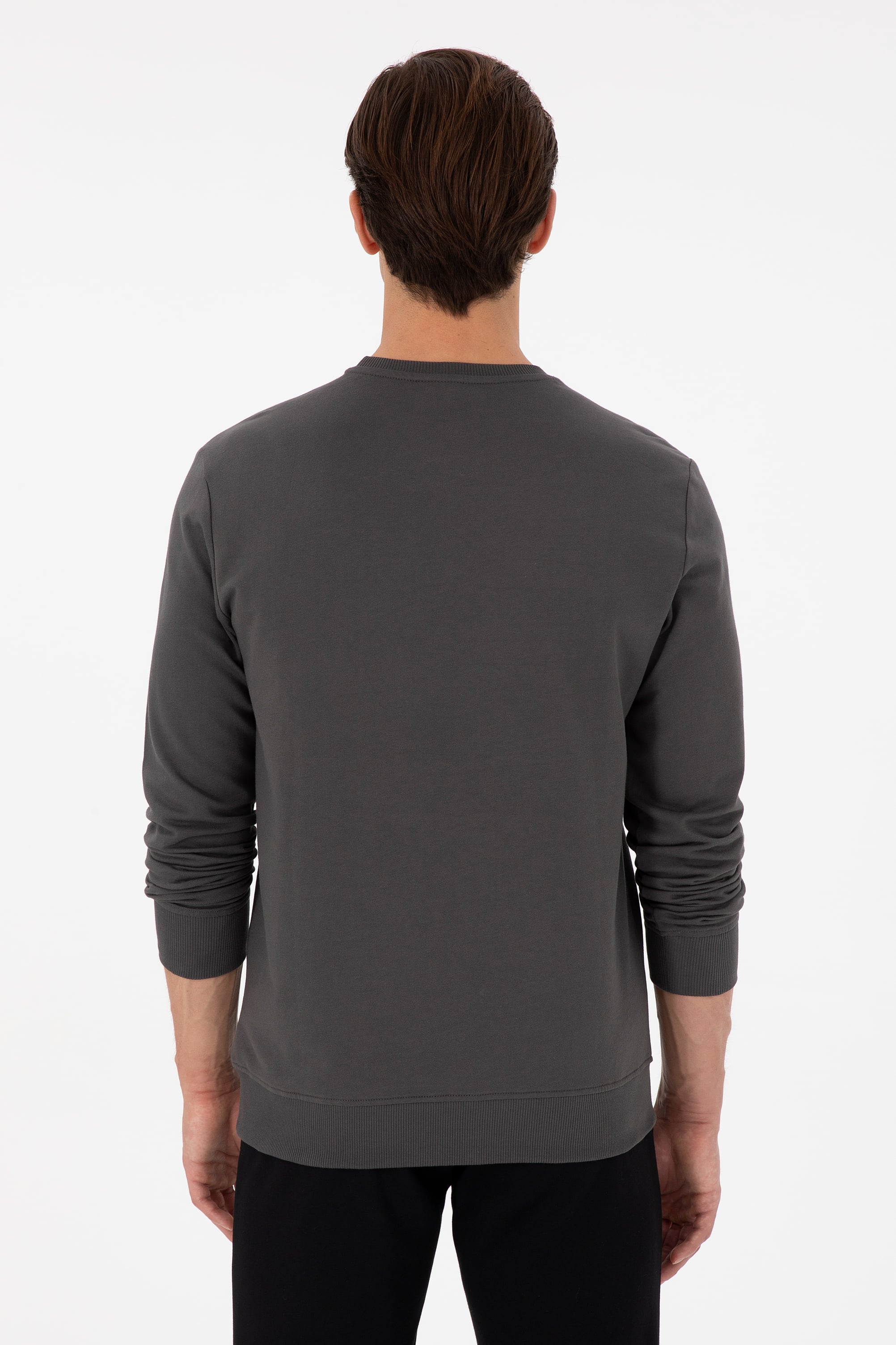 Erkek Regular Fit Bisiklet Yaka Antrasit Sweatshirt