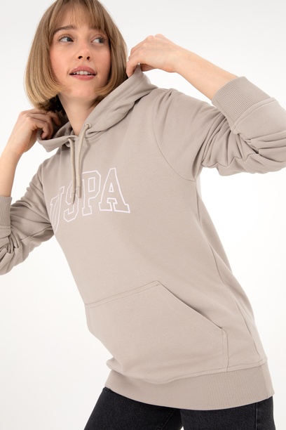 Erkek Regular Fit Kapüşonlu Taş Basic Sweatshirt
