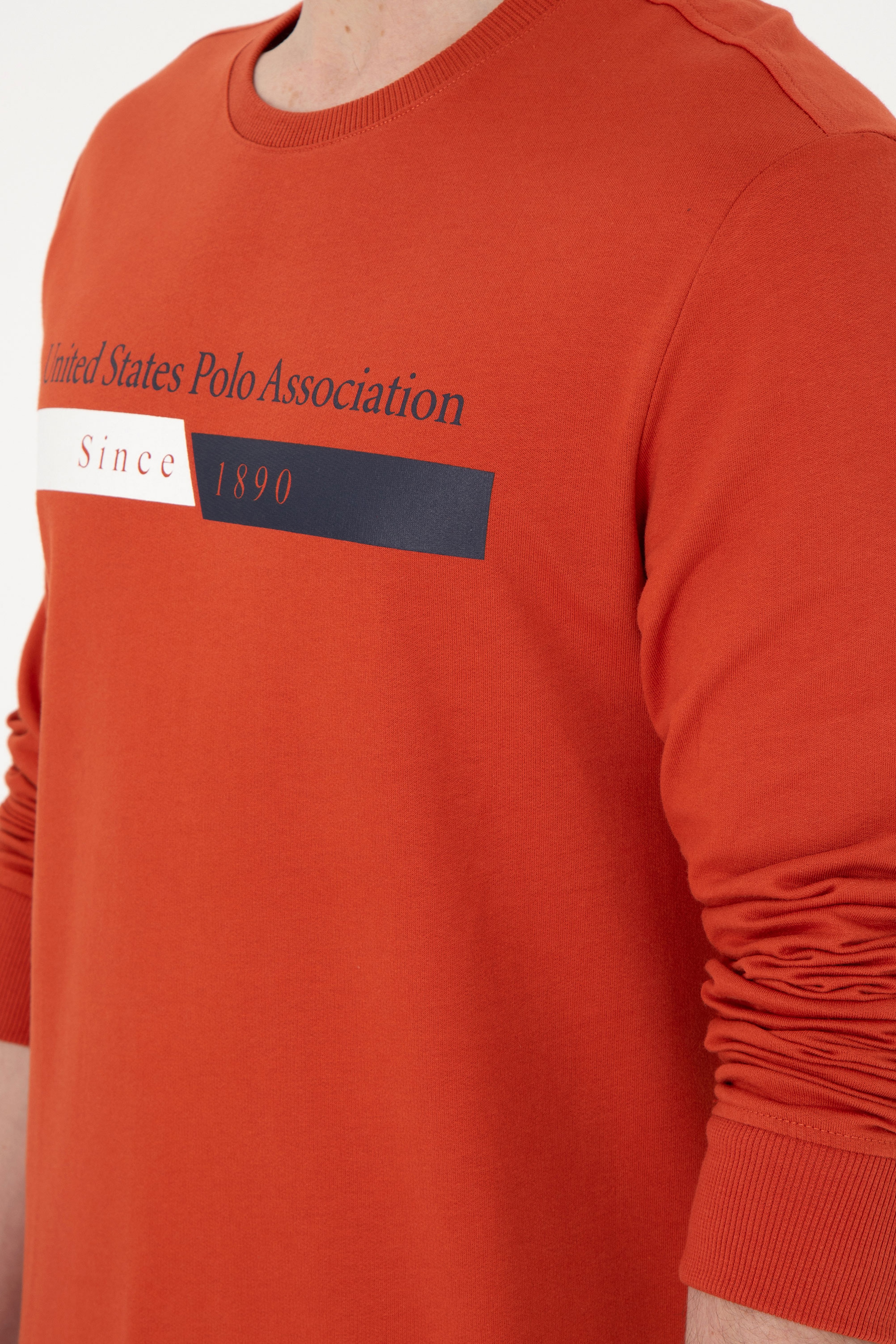 Erkek Kiremit Sweatshirt - Image 7