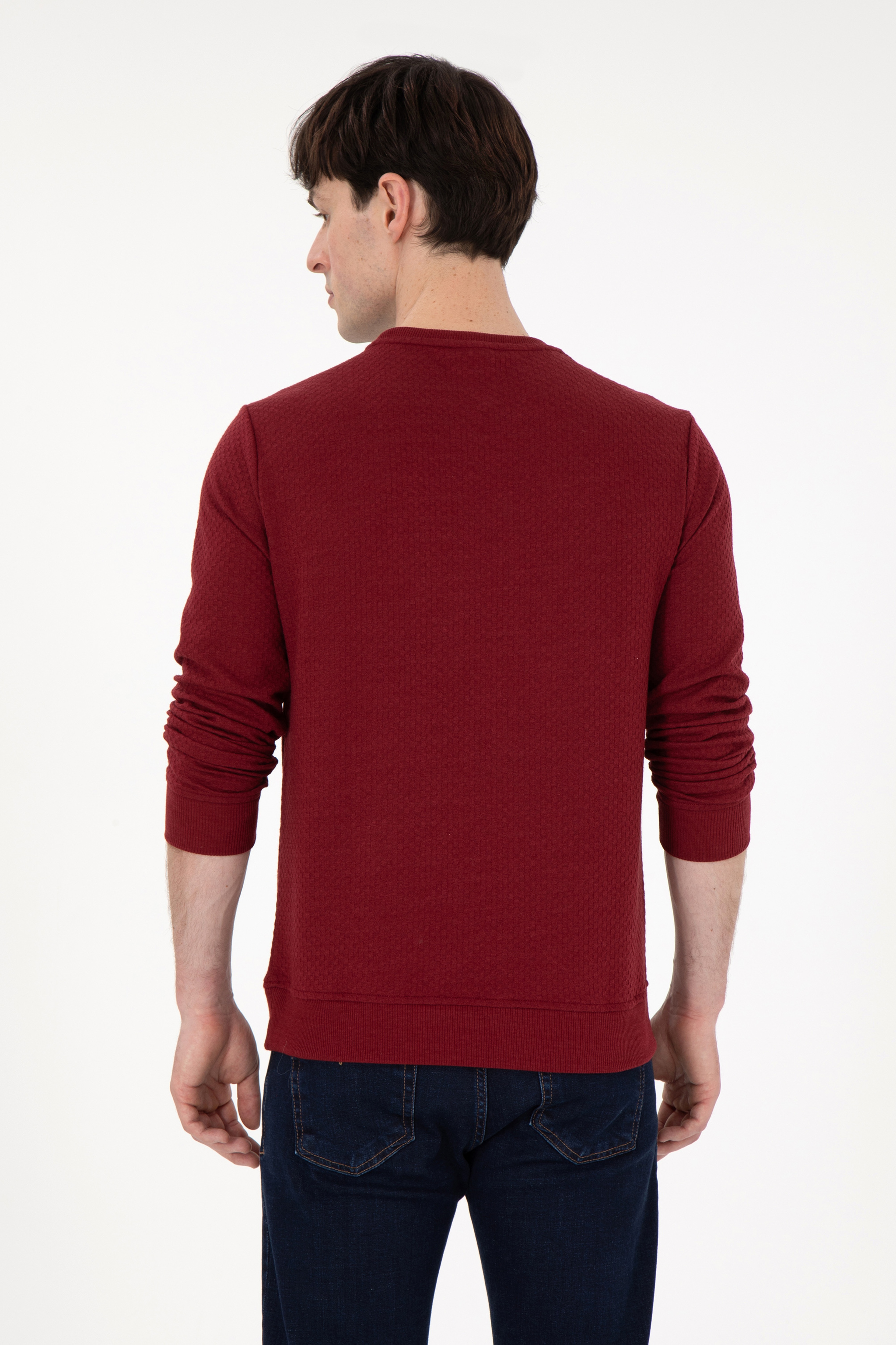 Erkek Regular Fit Bisiklet Yaka Bordo Sweatshirt - Image 5