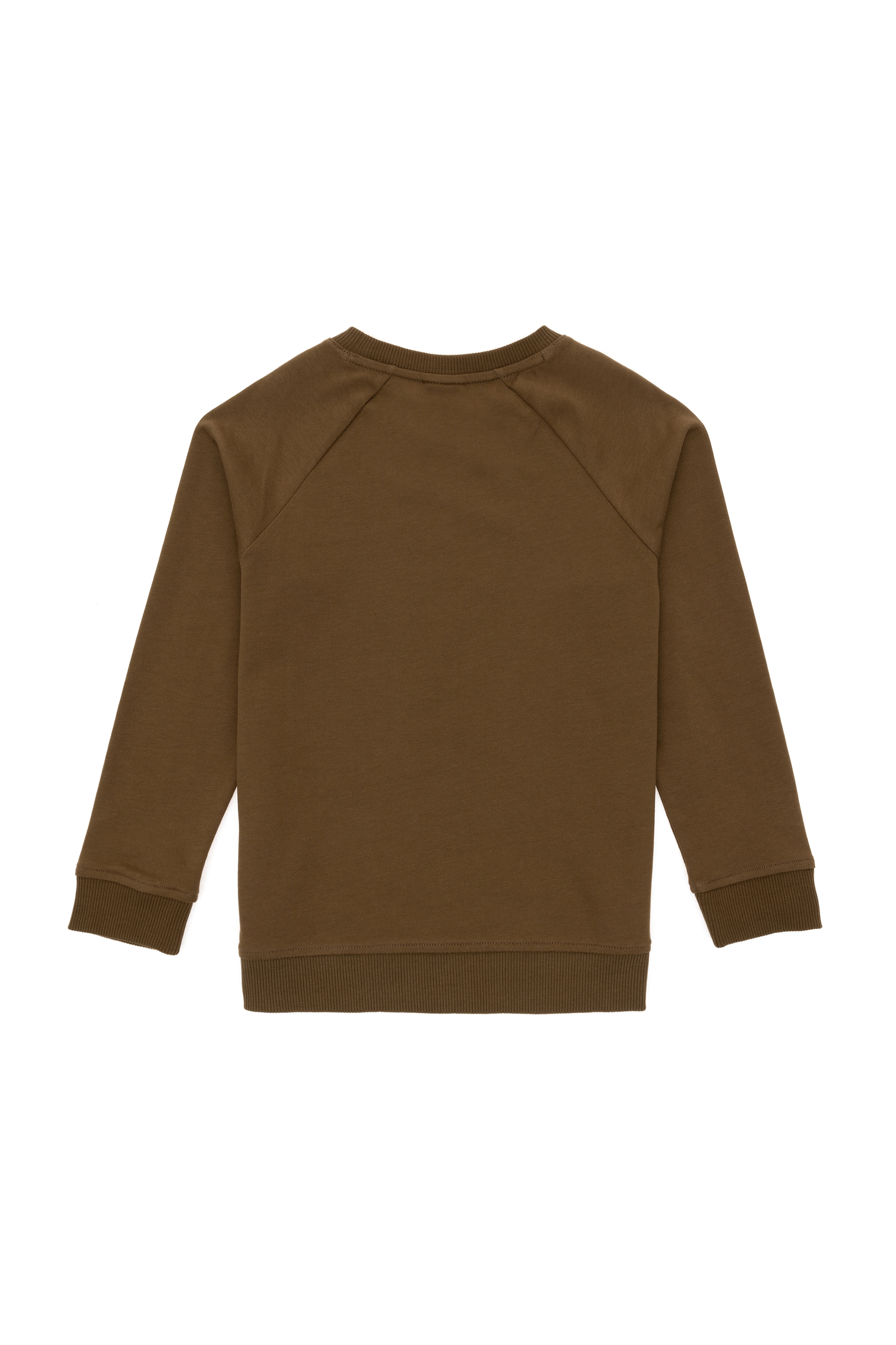 Erkek Çocuk Haki Basic Bisiklet Yaka Sweatshirt - Image 4