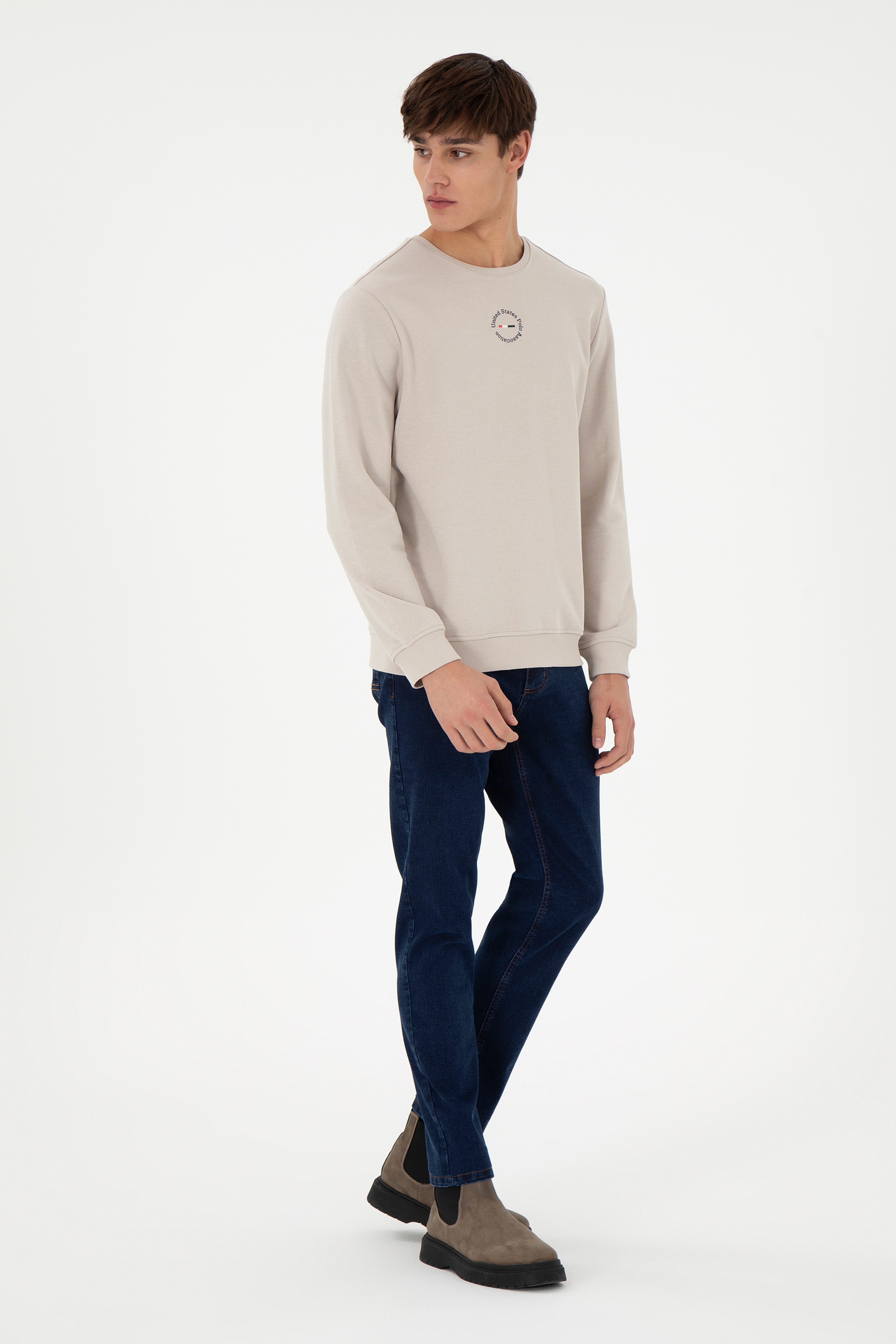 Erkek Regular Fit Bisiklet Yaka Taş Sweatshirt - Image 4