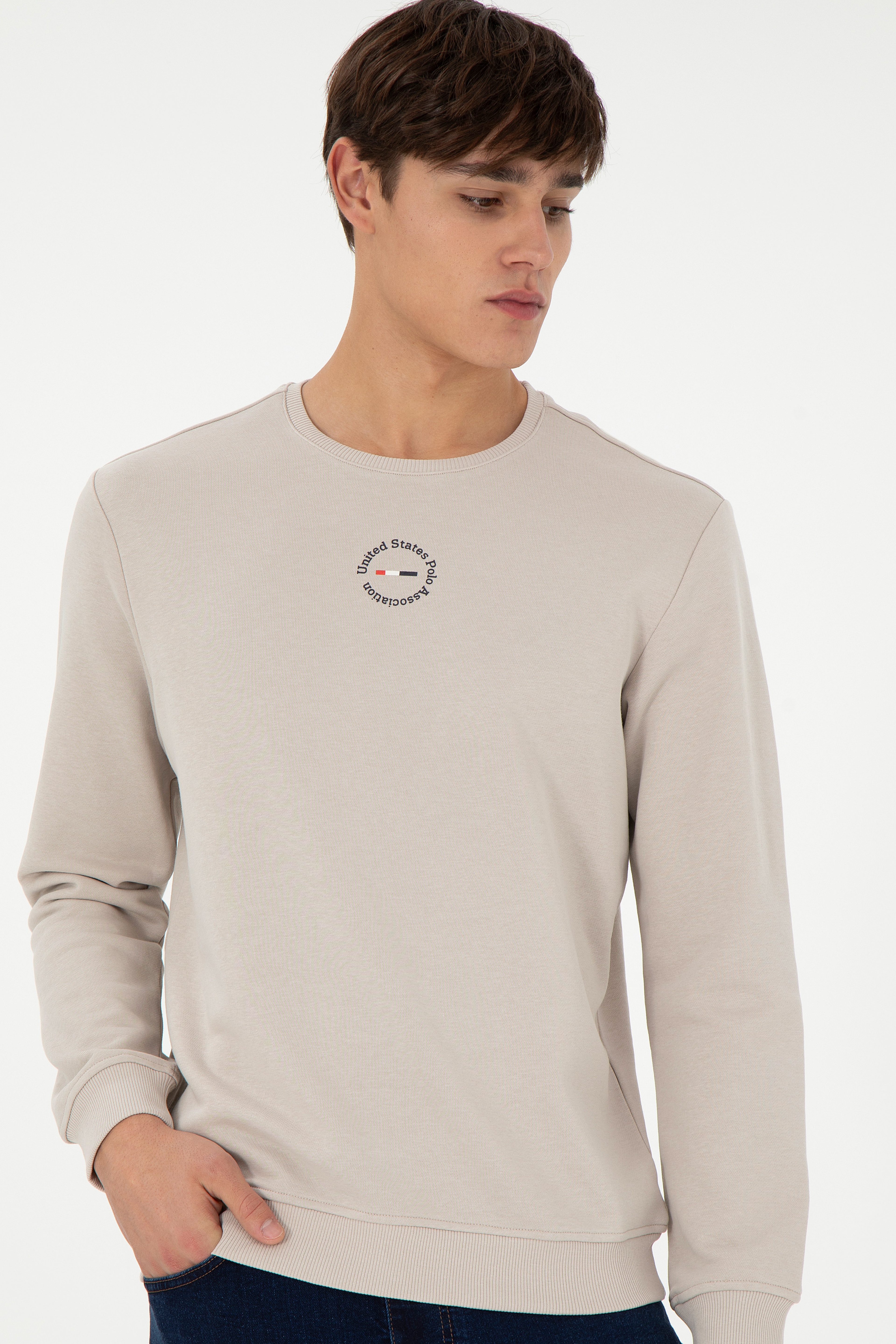 Erkek Regular Fit Bisiklet Yaka Taş Sweatshirt - Image 3