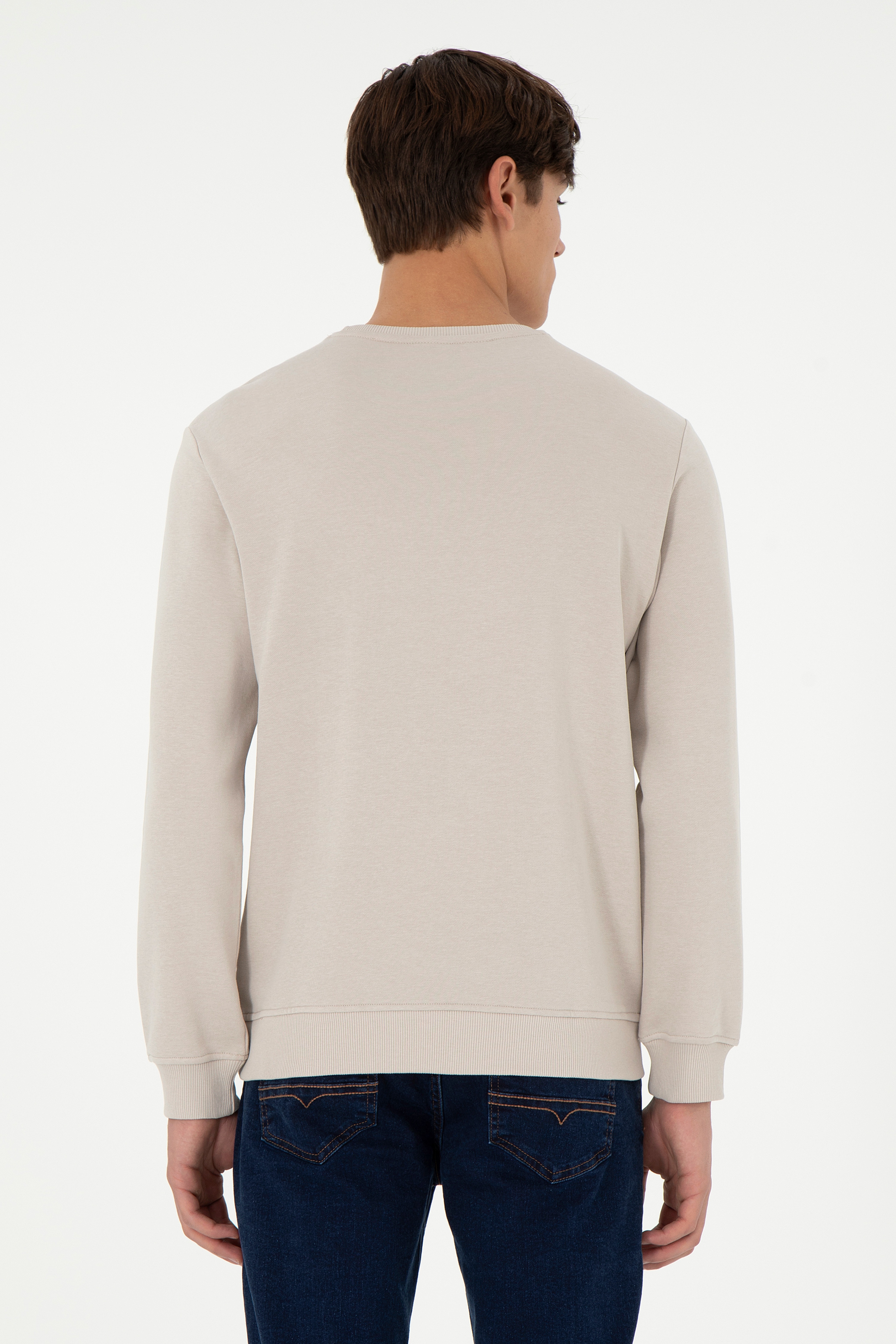 Erkek Regular Fit Bisiklet Yaka Taş Sweatshirt - Image 5
