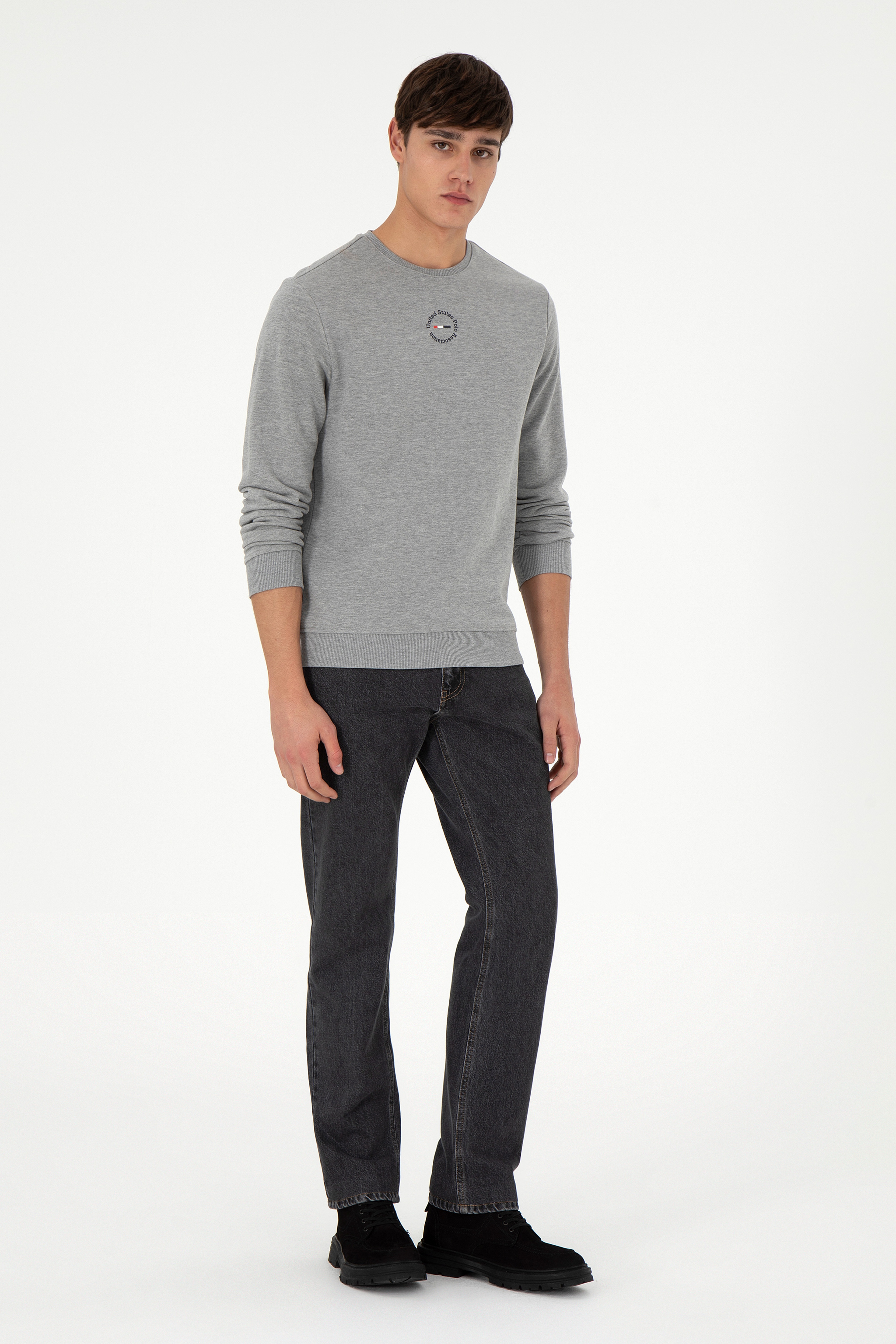 Erkek Regular Fit Bisiklet Yaka Gri Melanj Sweatshirt - Image 4