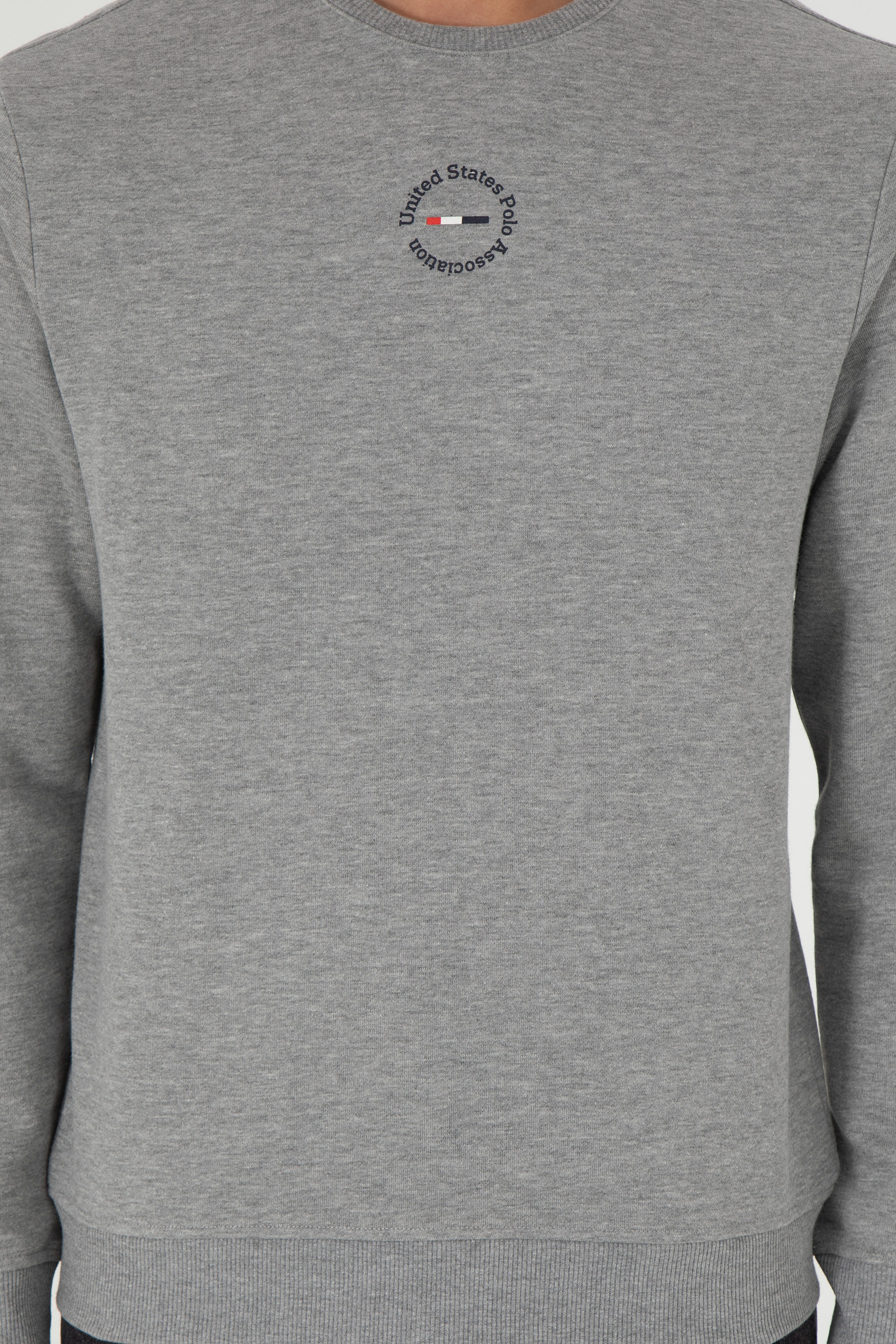 Erkek Regular Fit Bisiklet Yaka Gri Melanj Sweatshirt - Image 6