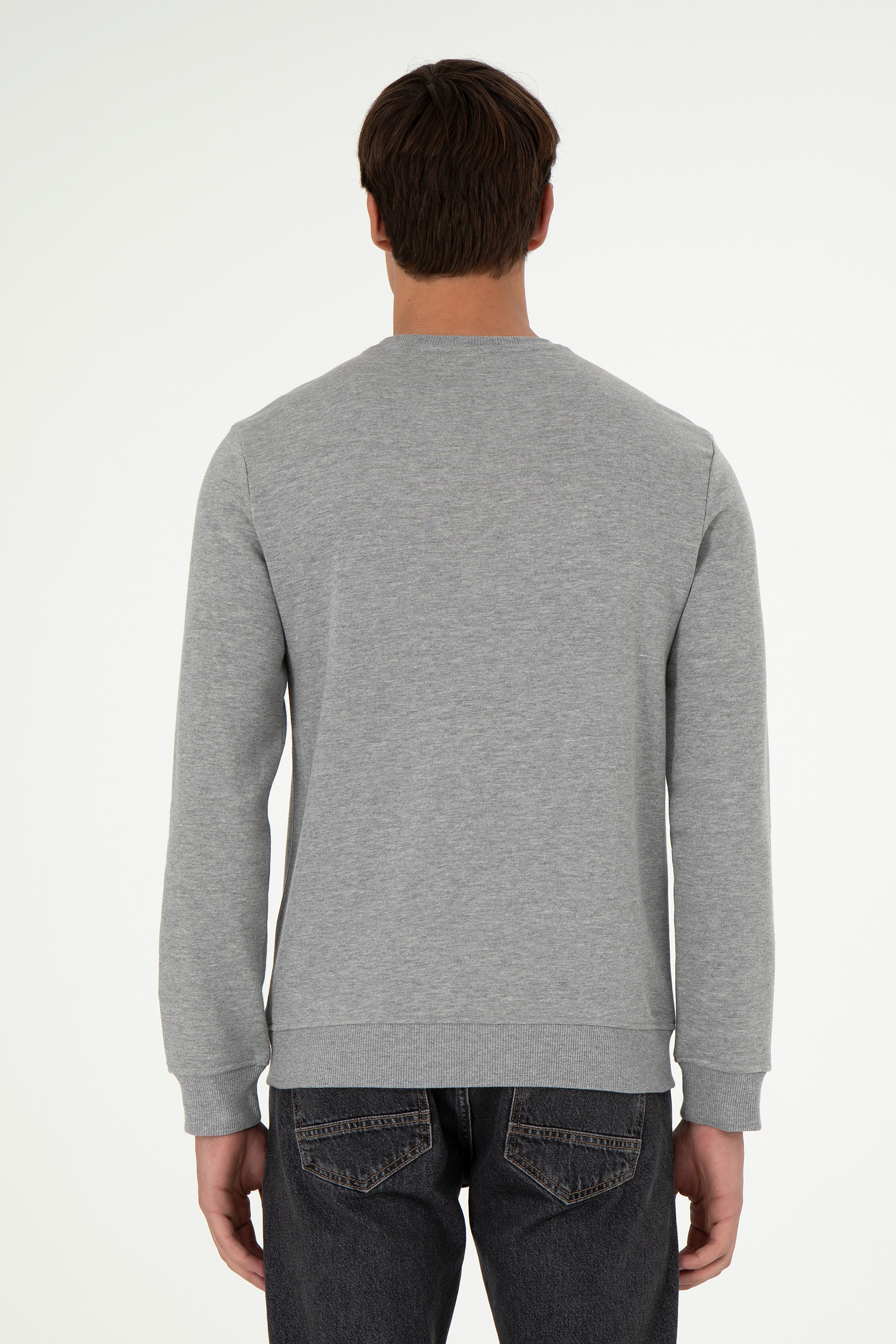 Erkek Regular Fit Bisiklet Yaka Gri Melanj Sweatshirt - Image 5