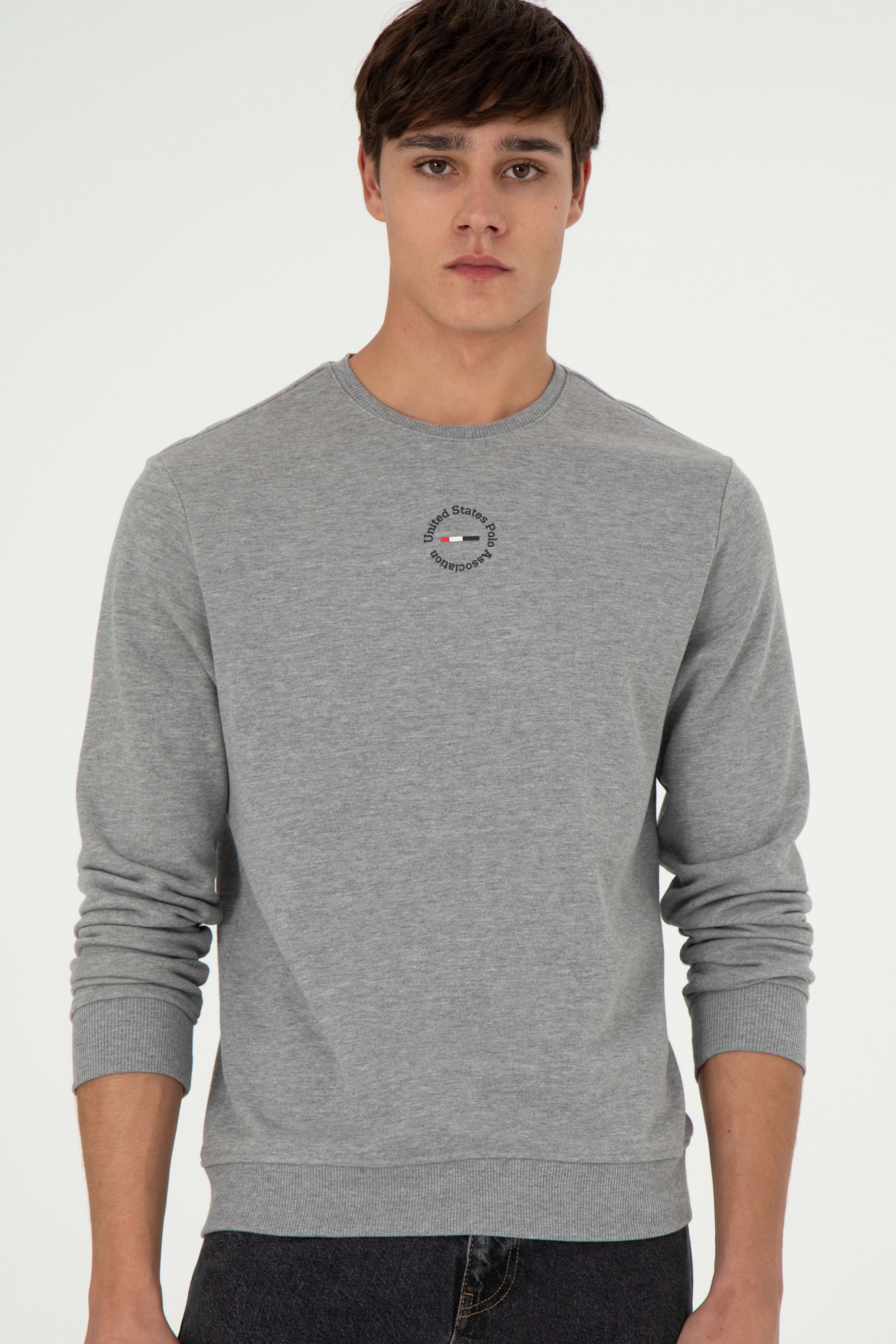 Erkek Regular Fit Bisiklet Yaka Gri Melanj Sweatshirt - Image 3