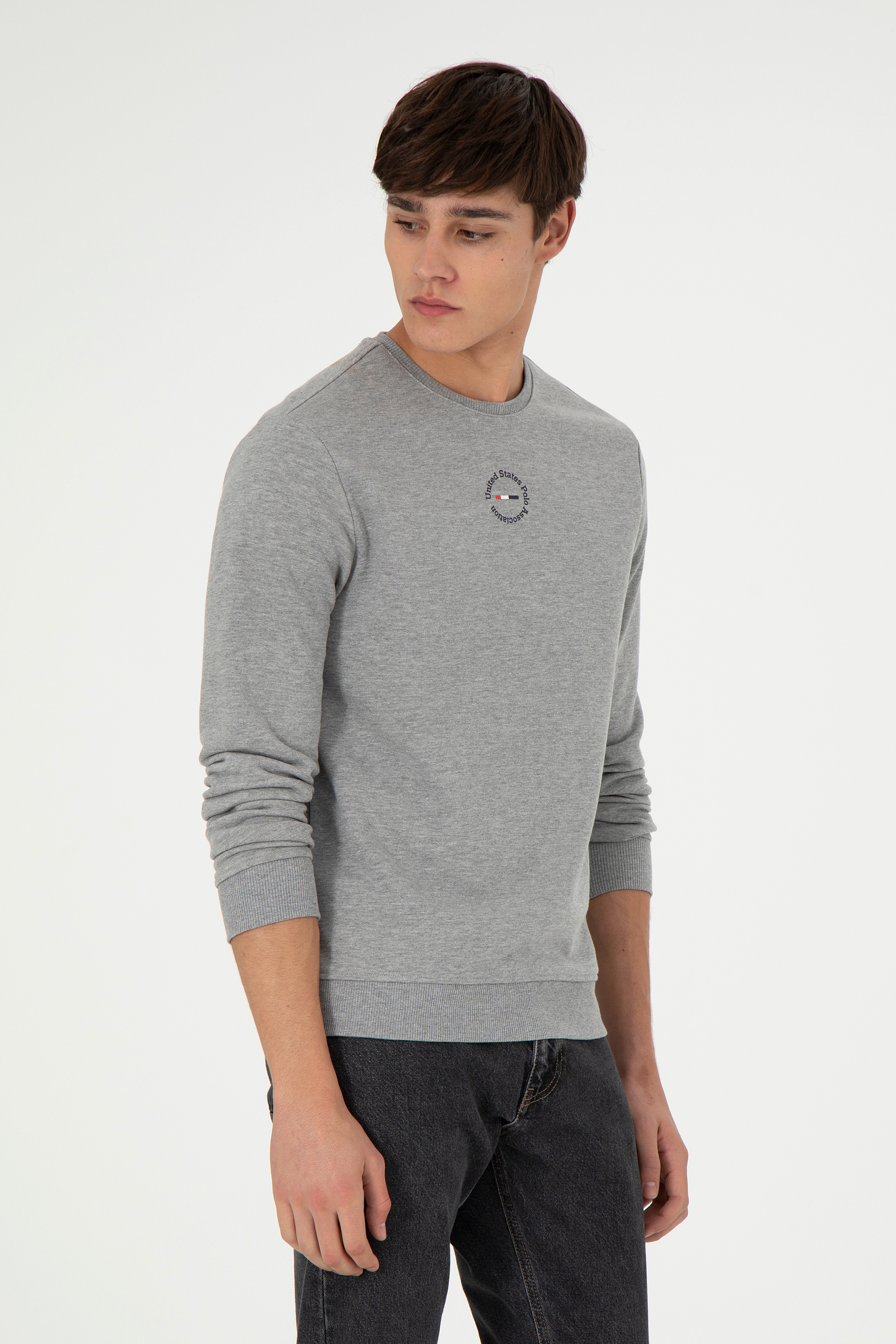 Erkek Regular Fit Bisiklet Yaka Gri Melanj Sweatshirt - Image 1