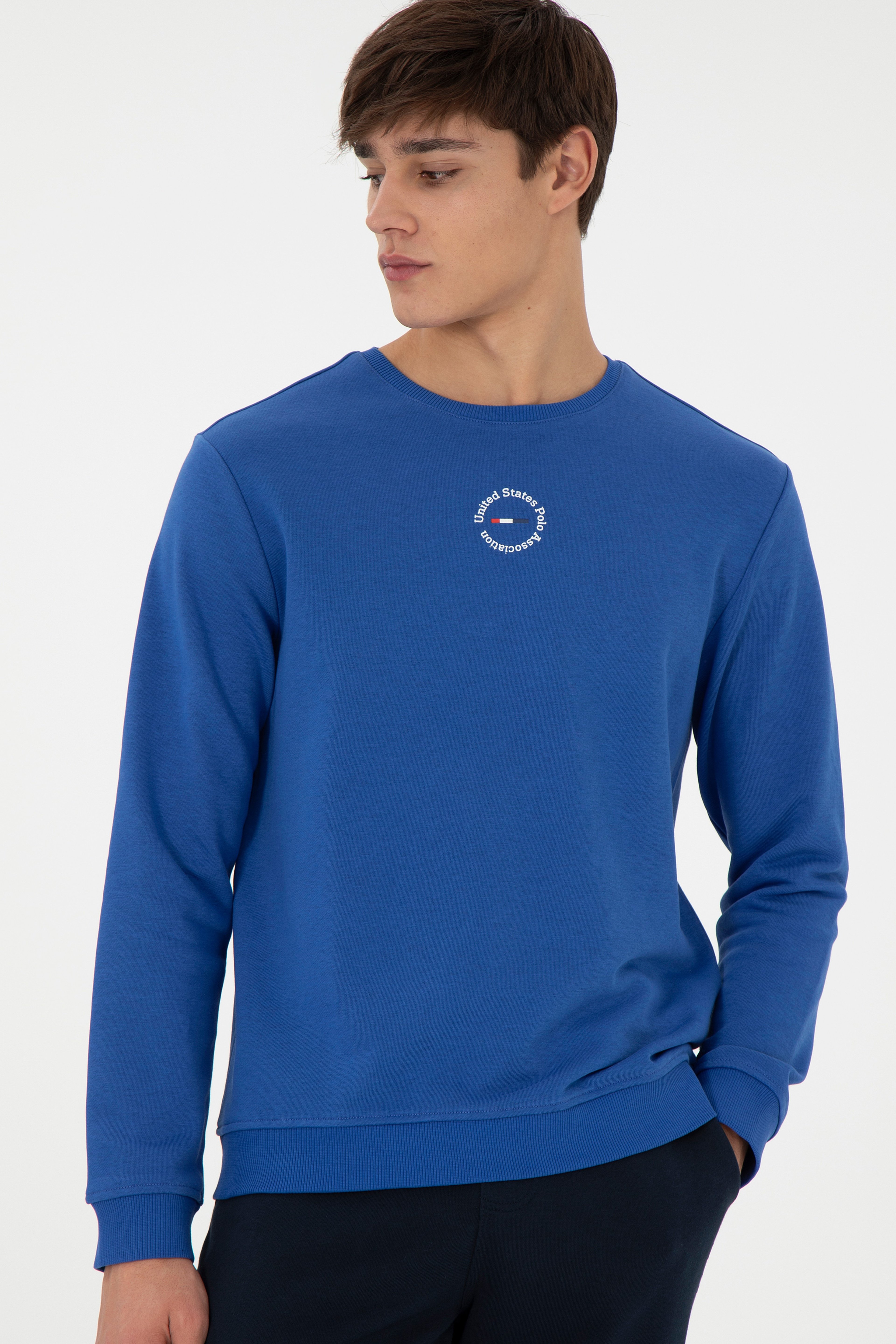Erkek Regular Fit Bisiklet Yaka Saks Sweatshirt - Image 3