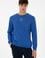 Erkek Regular Fit Bisiklet Yaka Saks Sweatshirt