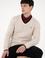 Erkek Regular Fit V Yaka Taş Yaka Detaylı Kazak