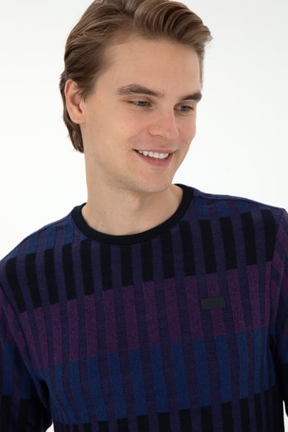 Erkek Regular Fit Bisiklet Yaka Mor Sweatshirt