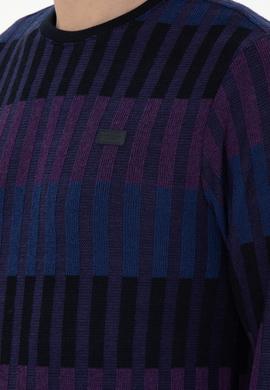 Erkek Regular Fit Bisiklet Yaka Mor Sweatshirt - 50290623007