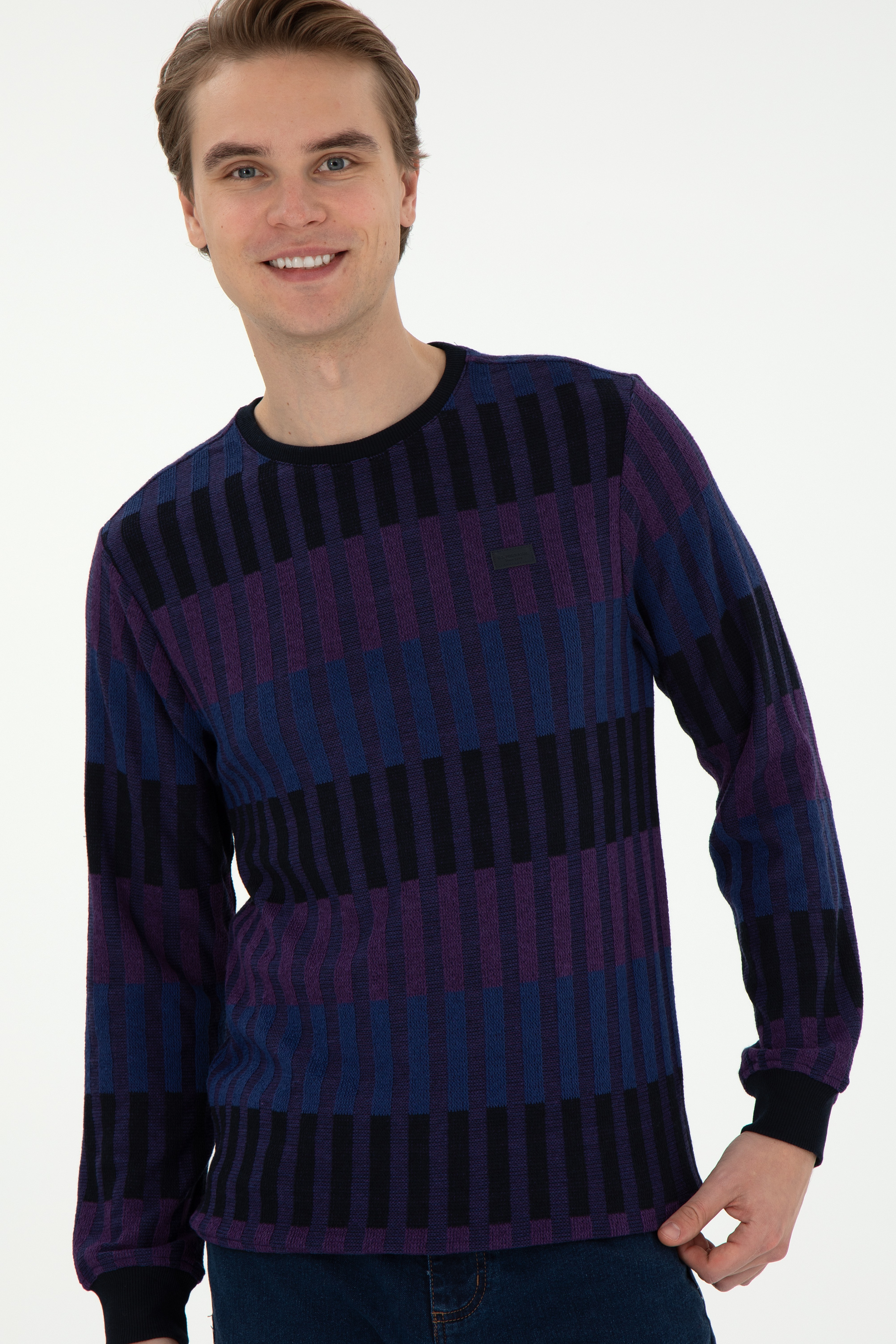Erkek Regular Fit Bisiklet Yaka Mor Sweatshirt - Image 3