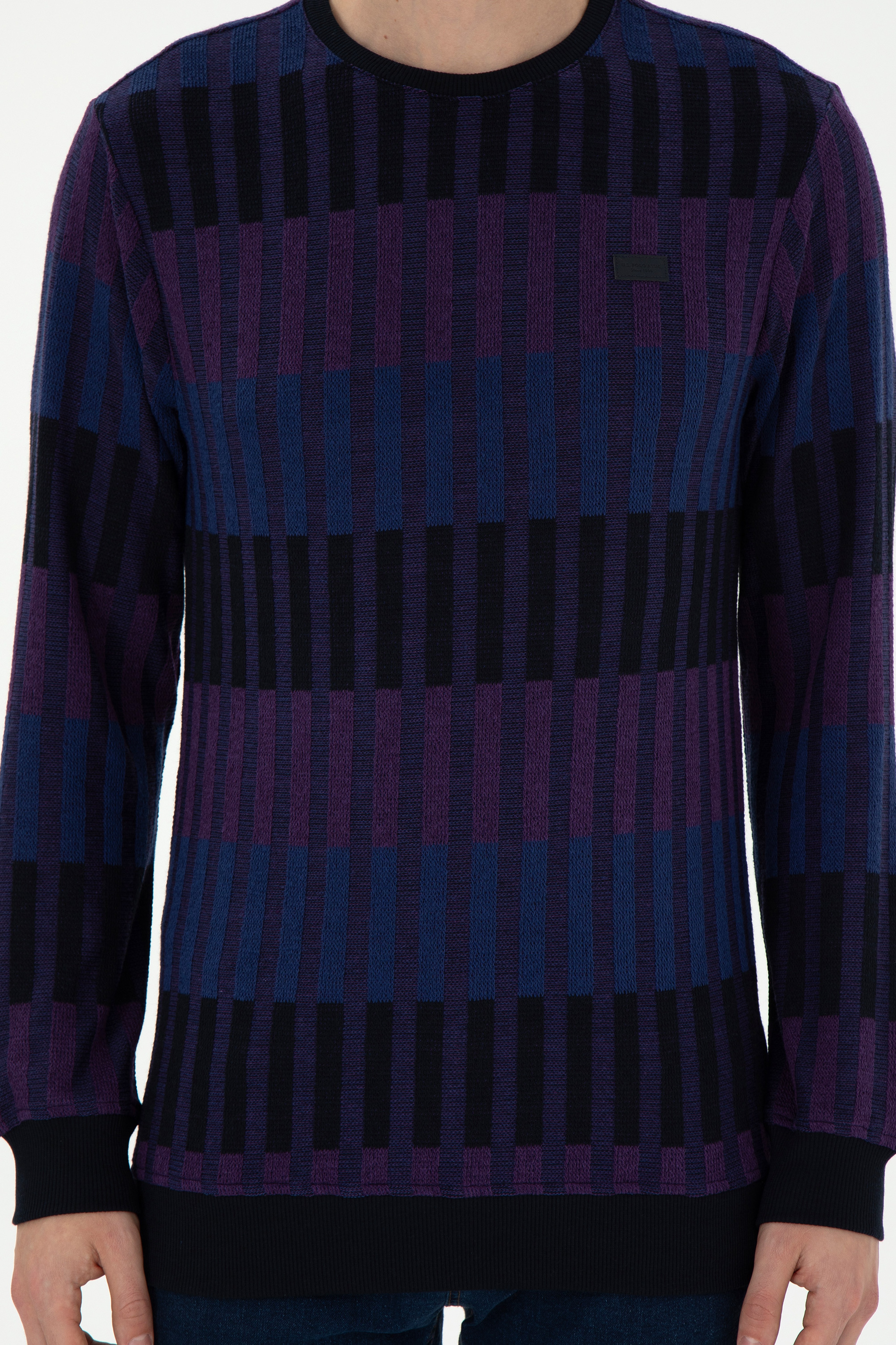 Erkek Regular Fit Bisiklet Yaka Mor Sweatshirt - Image 6