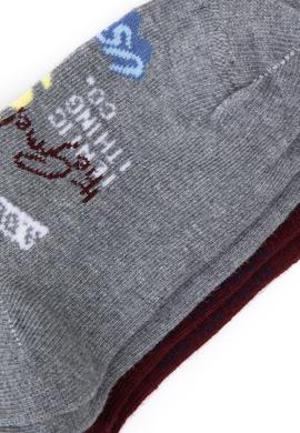 Erkek Çocuk 2'li Soket Çorap - 50299294003