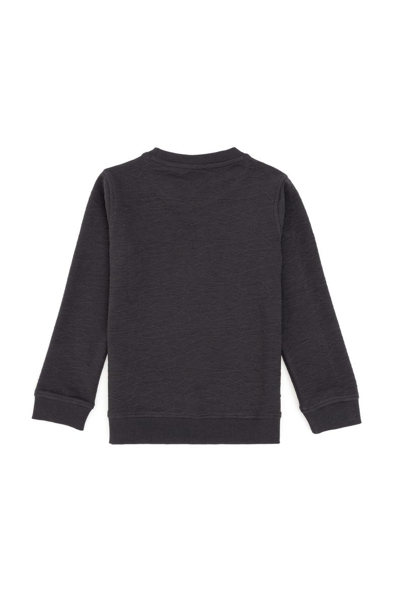 Erkek Çocuk Antrasit Bisiklet Yaka Sweatshirt - 50290642042