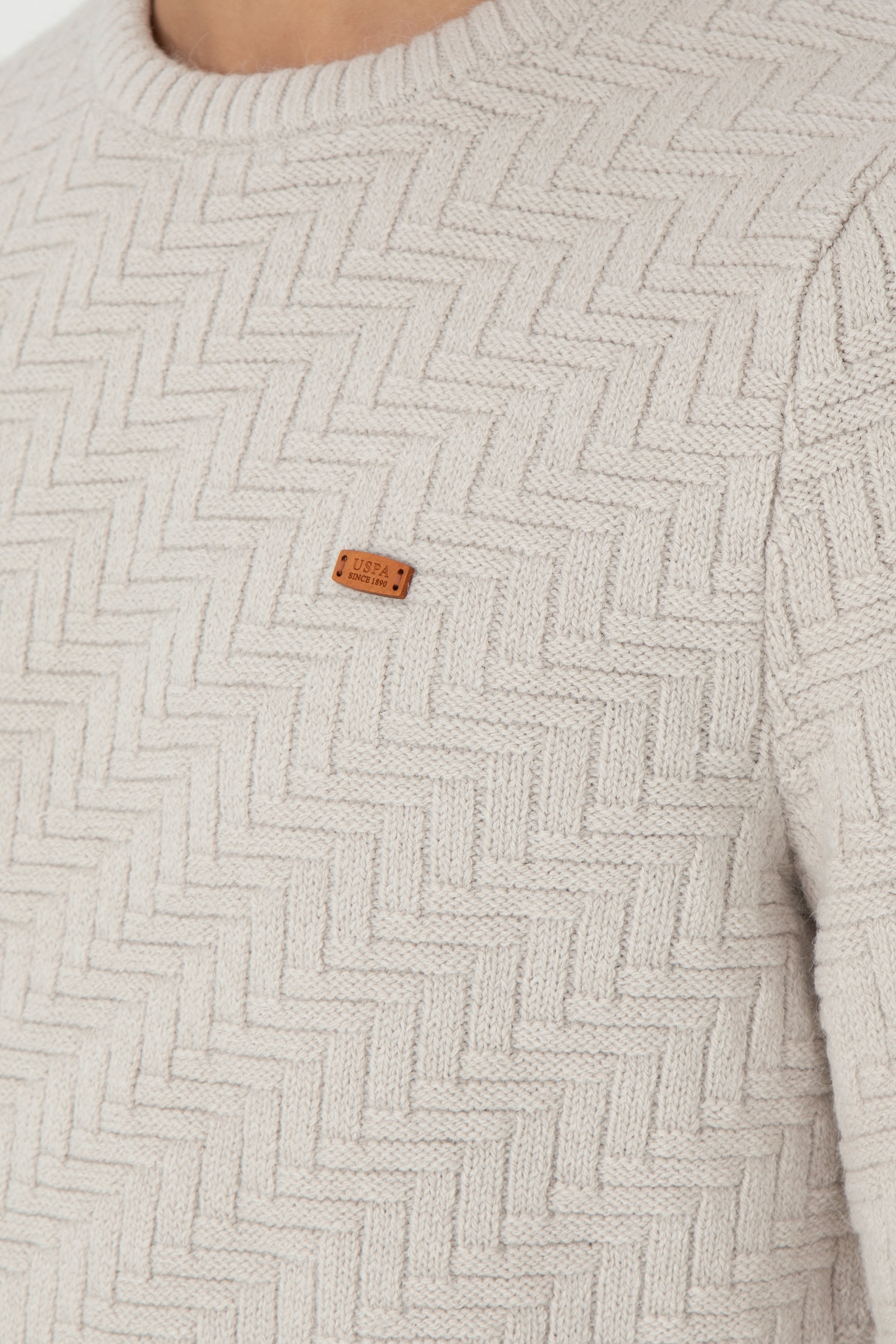 Erkek Slim Fit Bisiklet Yaka Taş Kazak